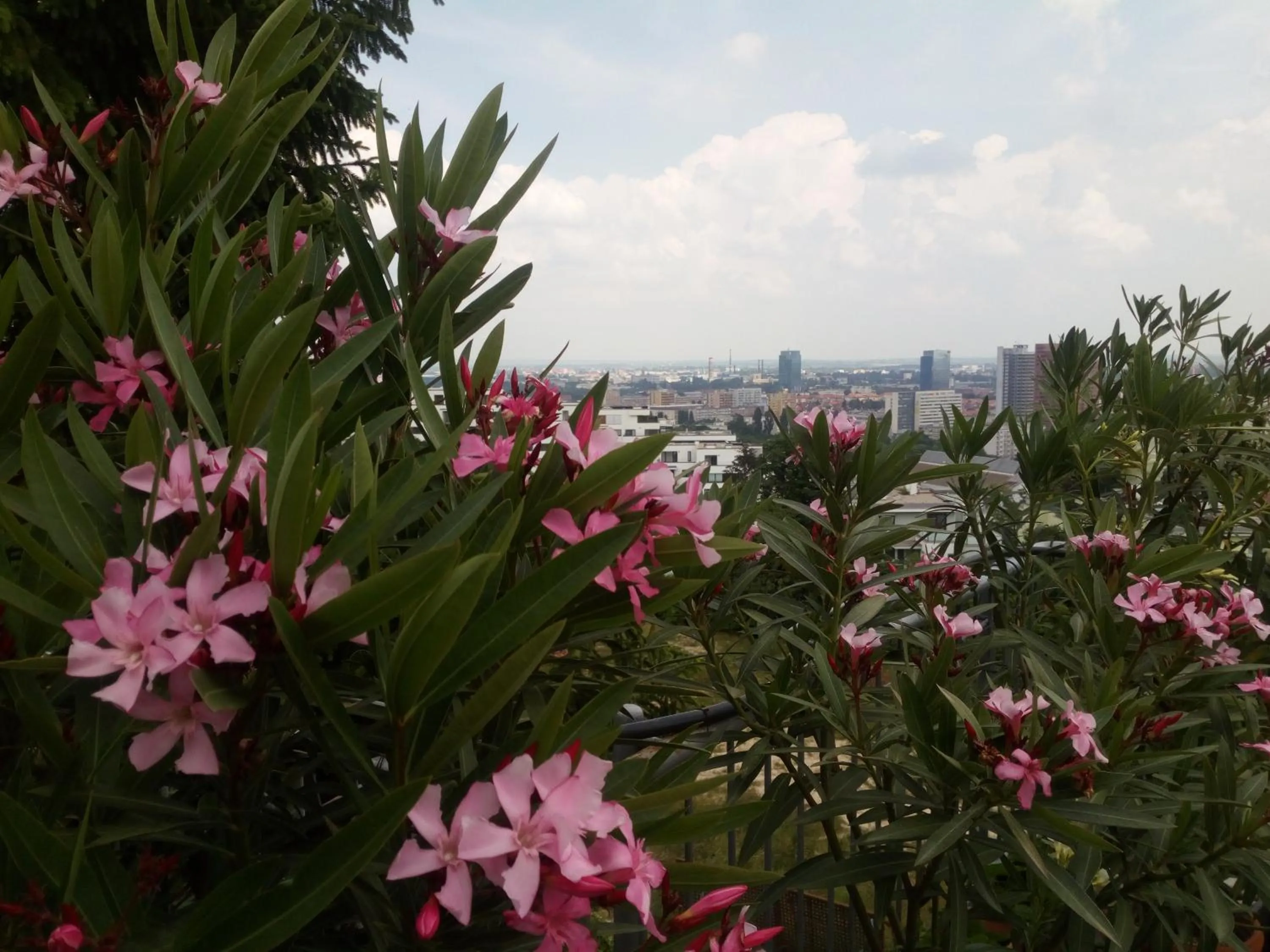 City view in Pension Zlata Noha