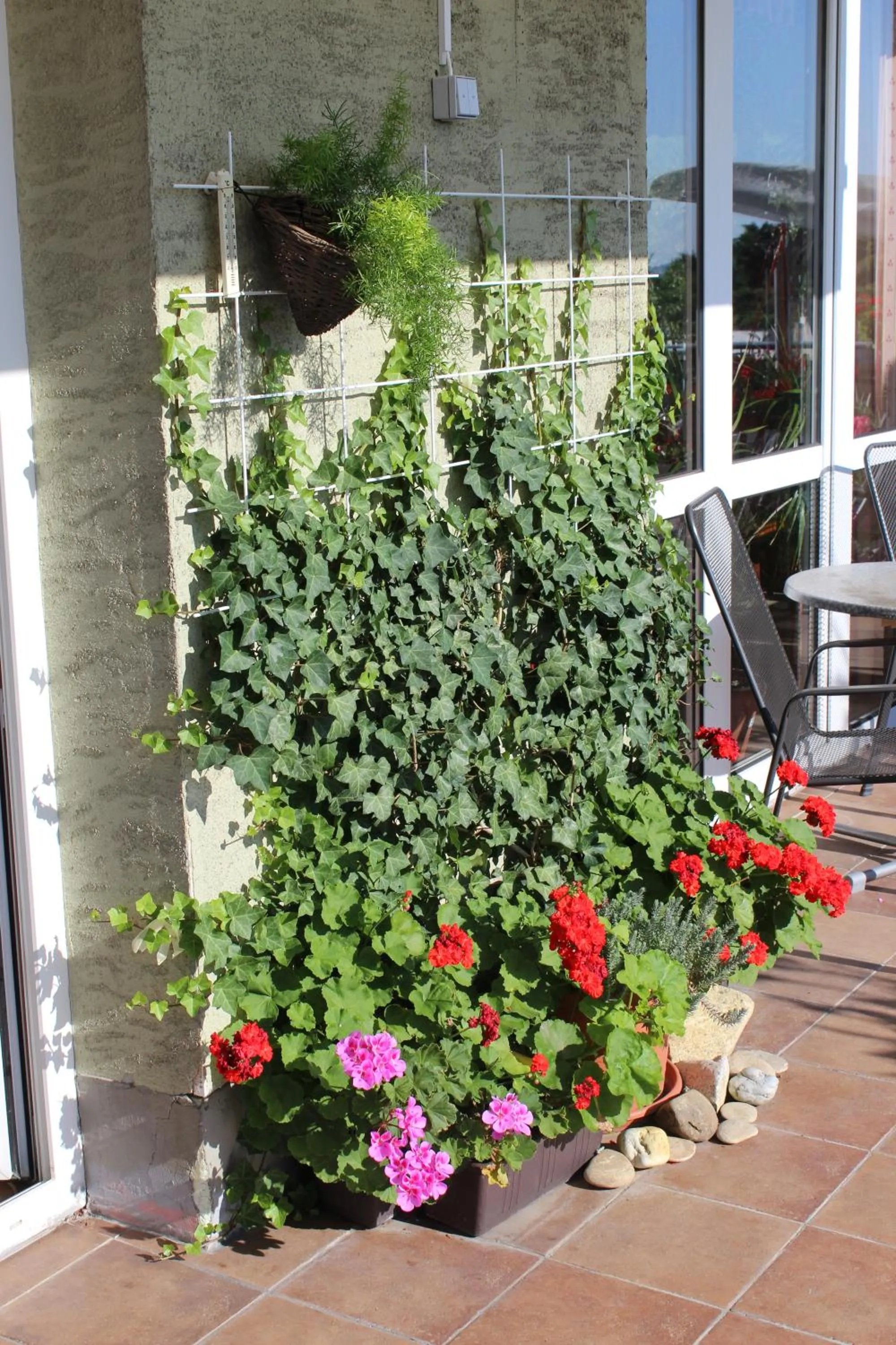 Summer in Pension Zlata Noha