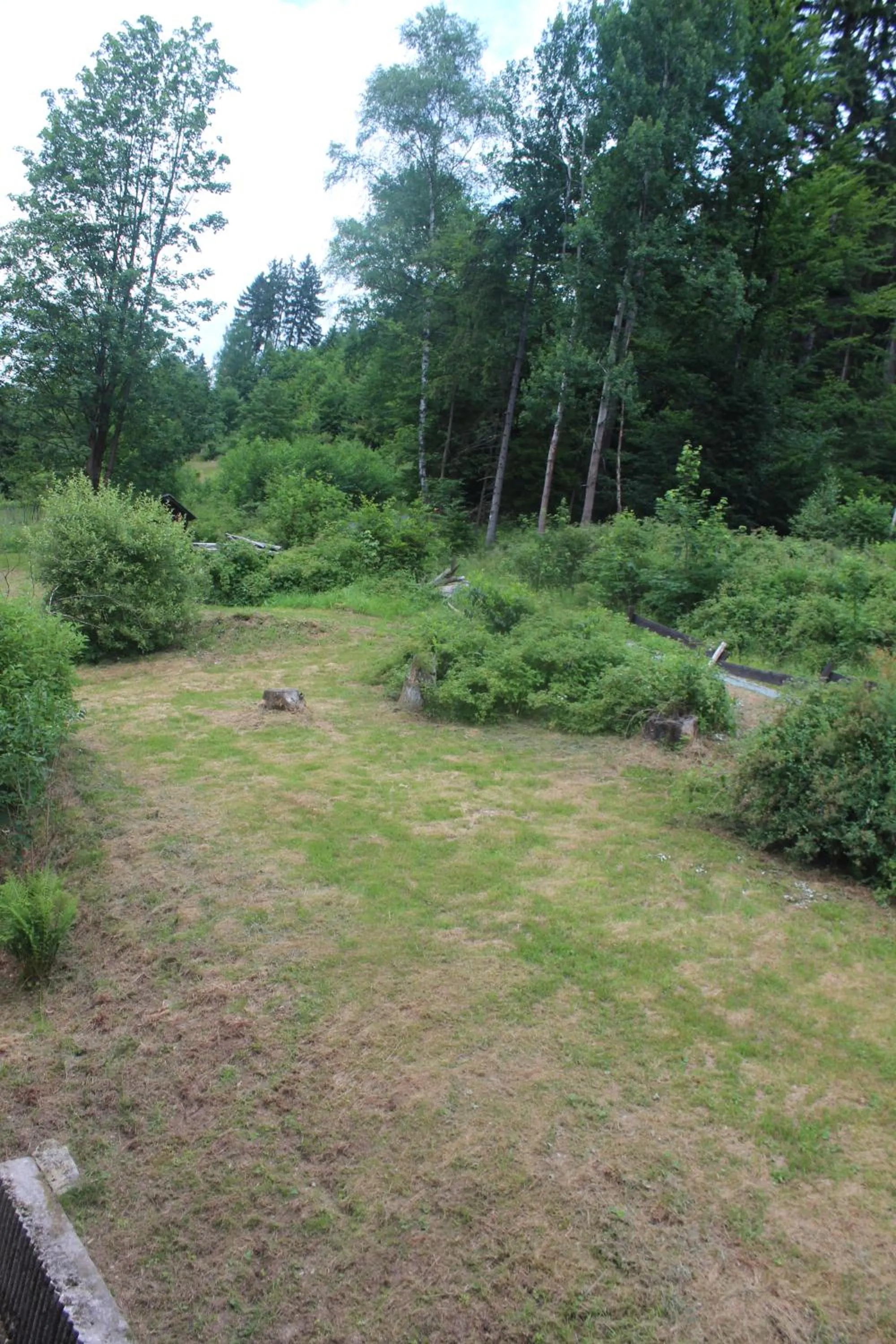 Garden view in Waldpension Pfeiferhaus