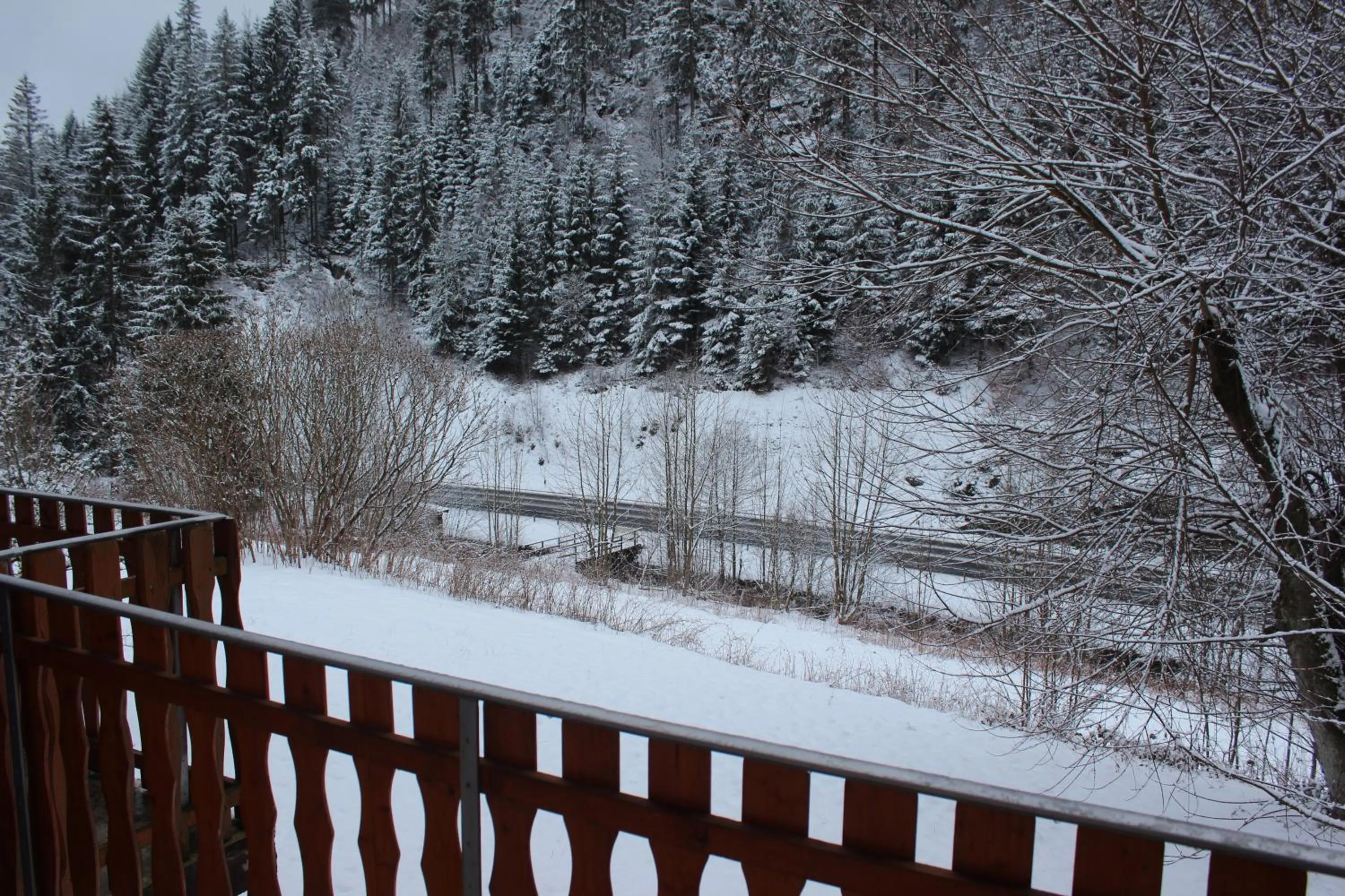 Winter in Waldpension Pfeiferhaus