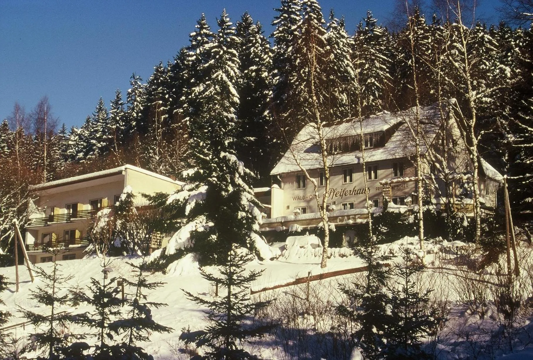 Property building in Waldpension Pfeiferhaus