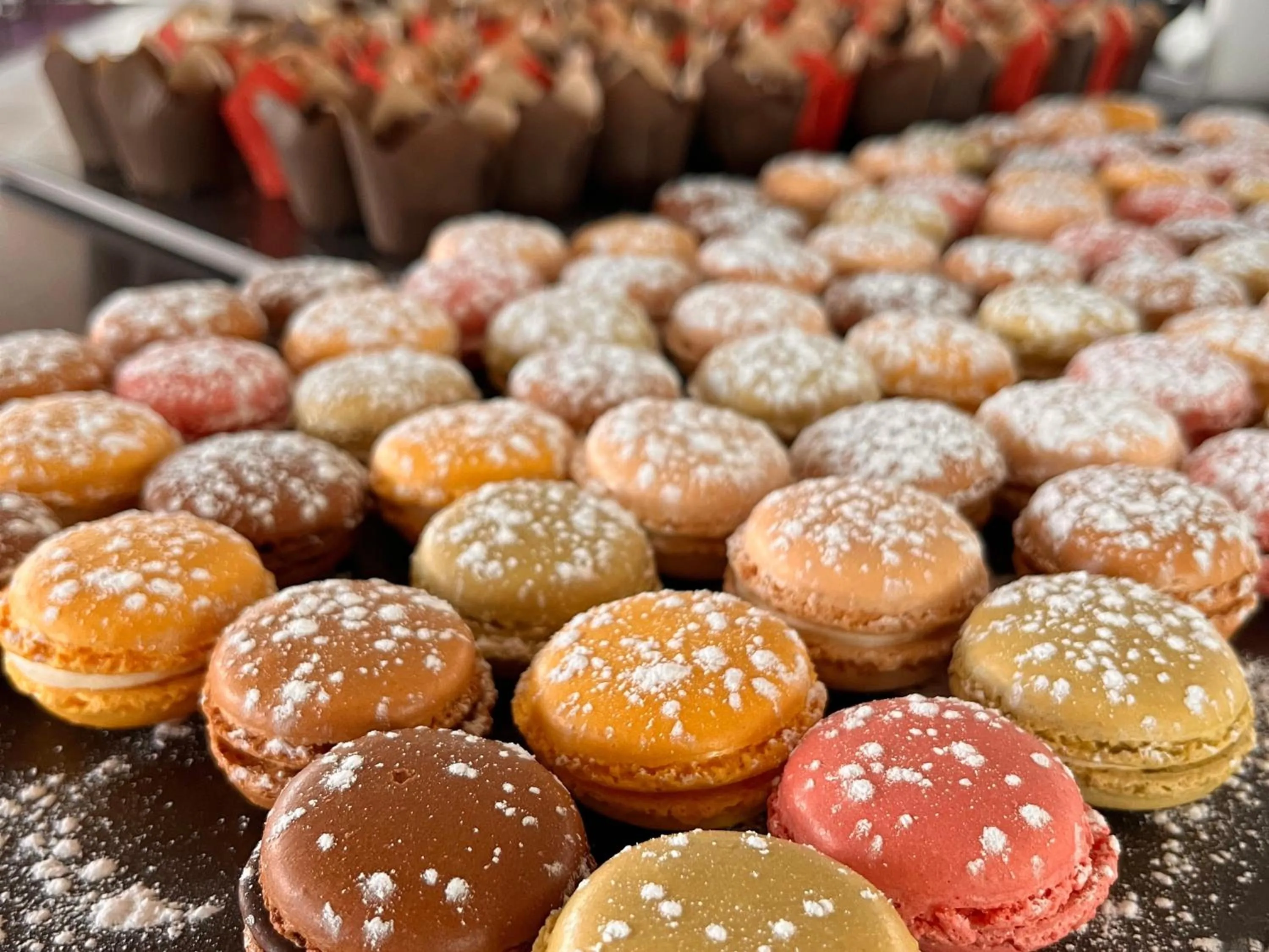 Restaurant/places to eat in Starling Hotel Lausanne