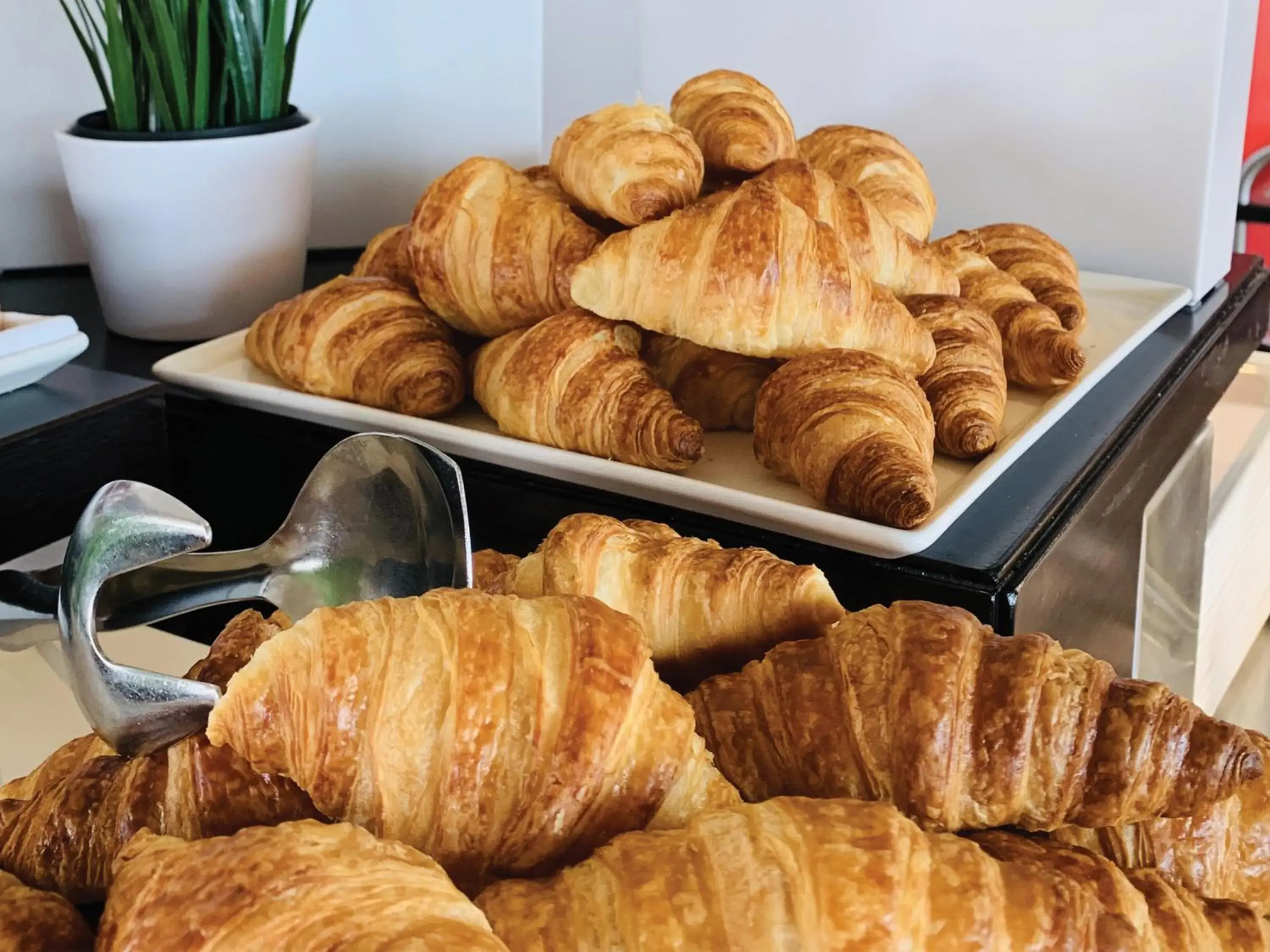 Food in Starling Hotel Lausanne Food in Starling Hotel Lausanne