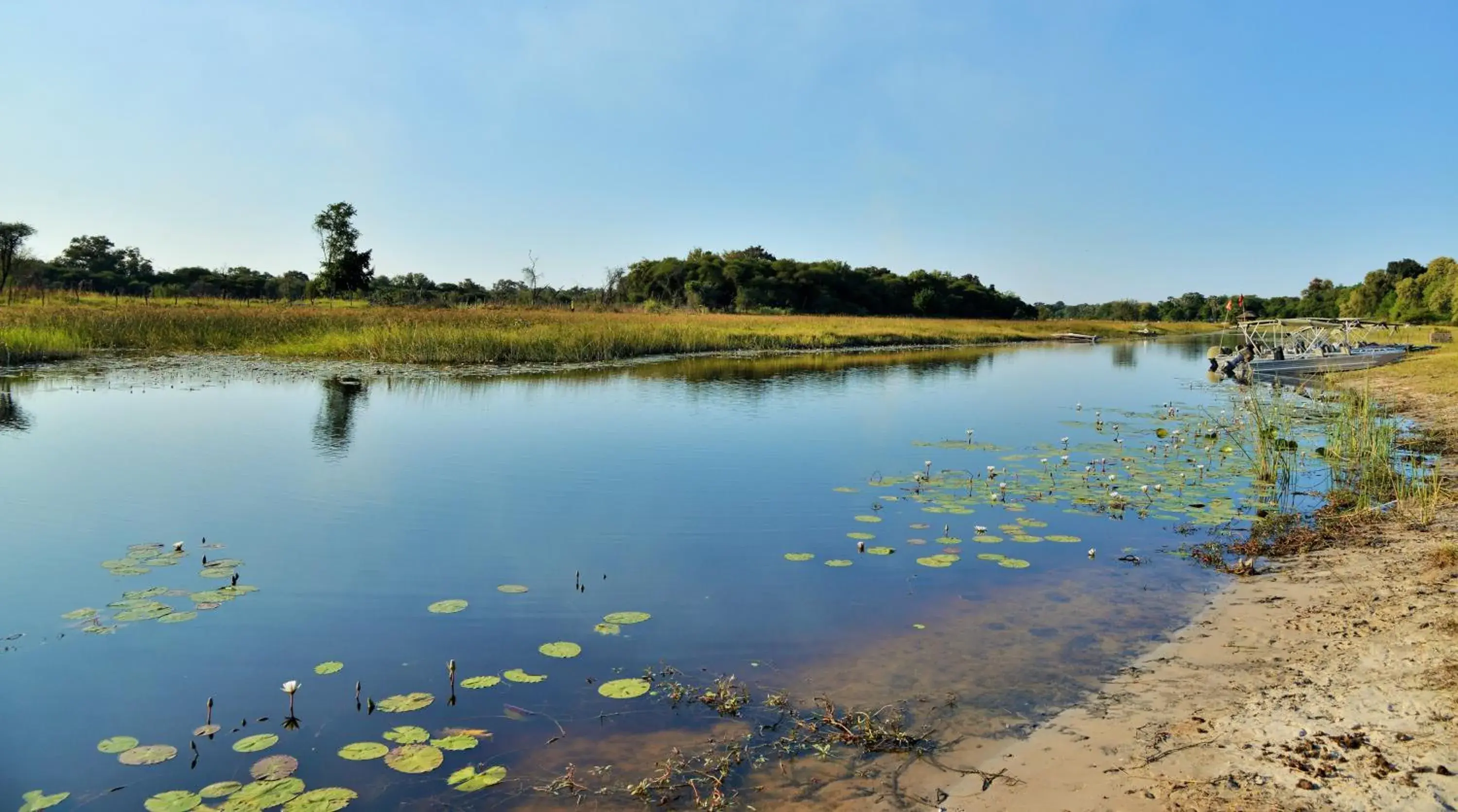 River view in Cresta Maun Hotel River view in Cresta Maun Hotel