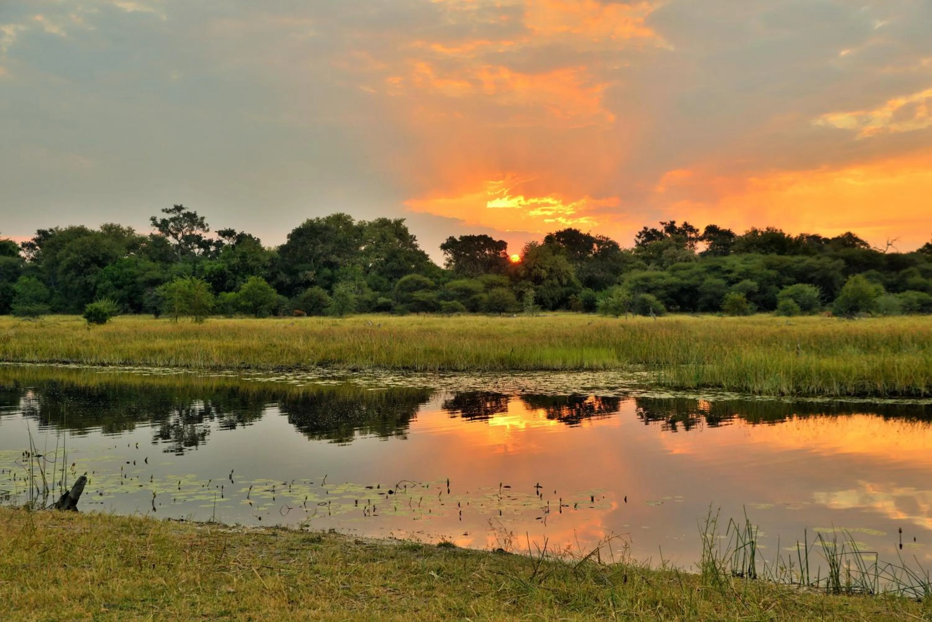 River view in Cresta Maun Hotel
