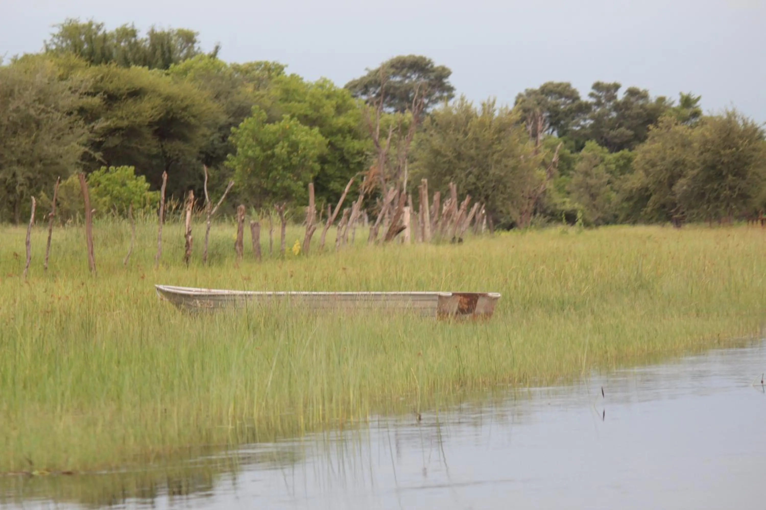River view in Cresta Maun Hotel