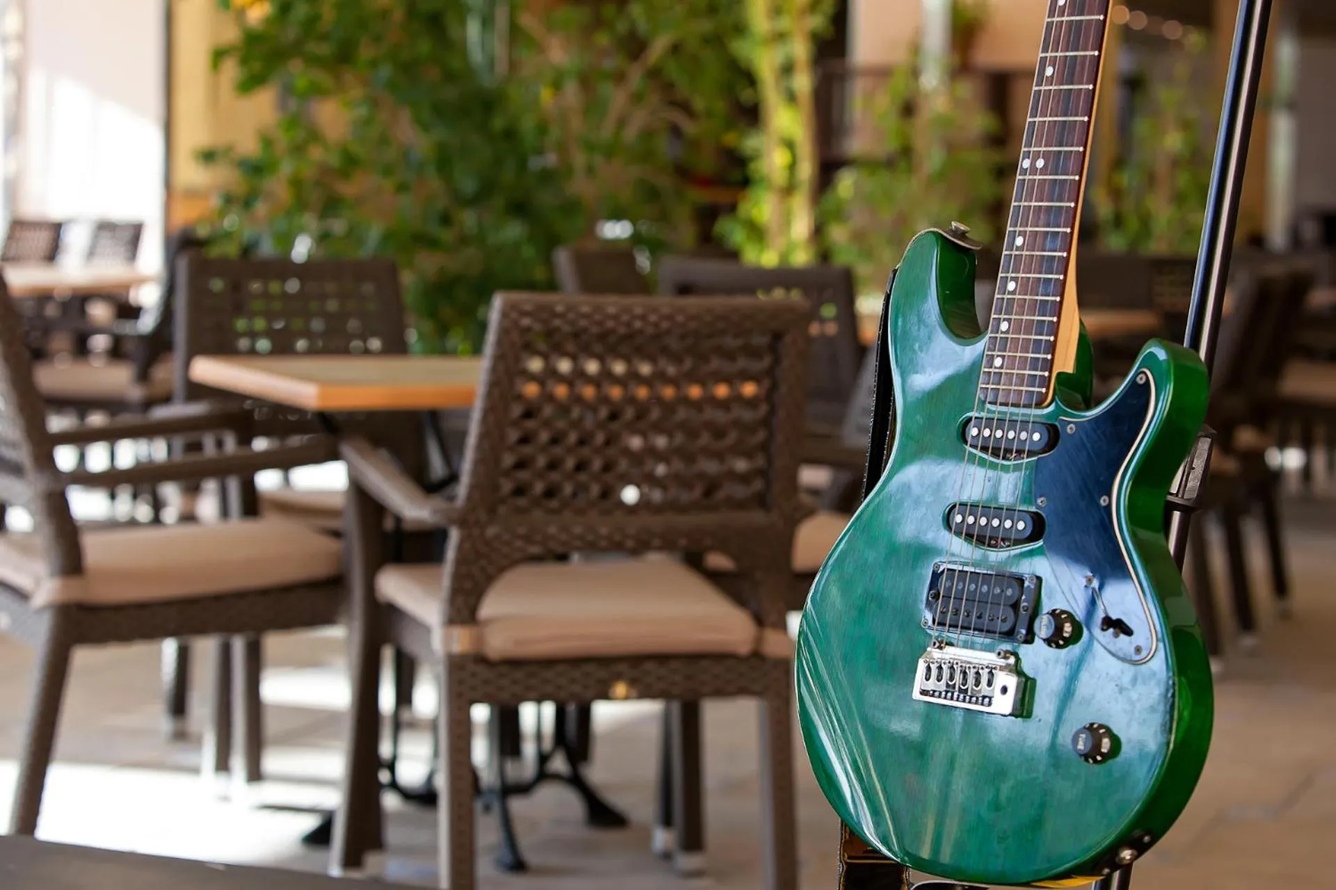 Lounge or bar in Pineda Park