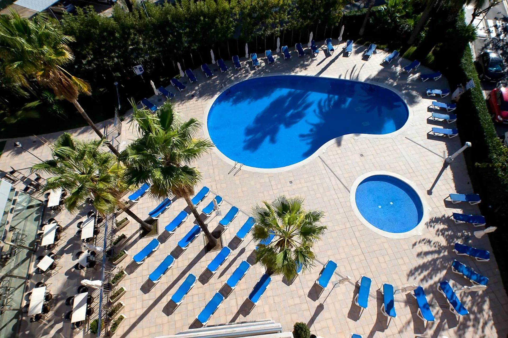 Bird's eye view in Pineda Park