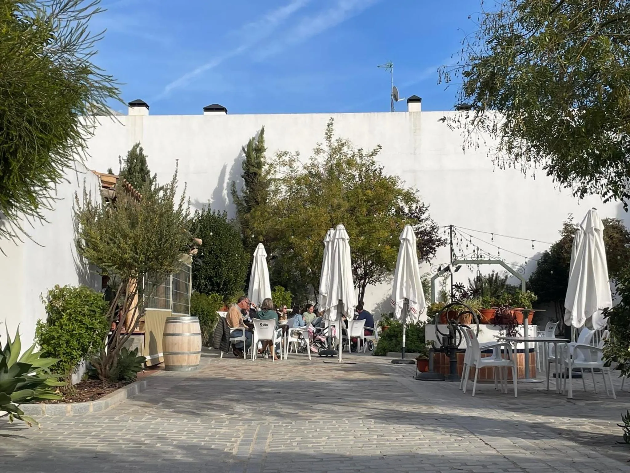 Restaurant/places to eat in Hotel Entreolivos