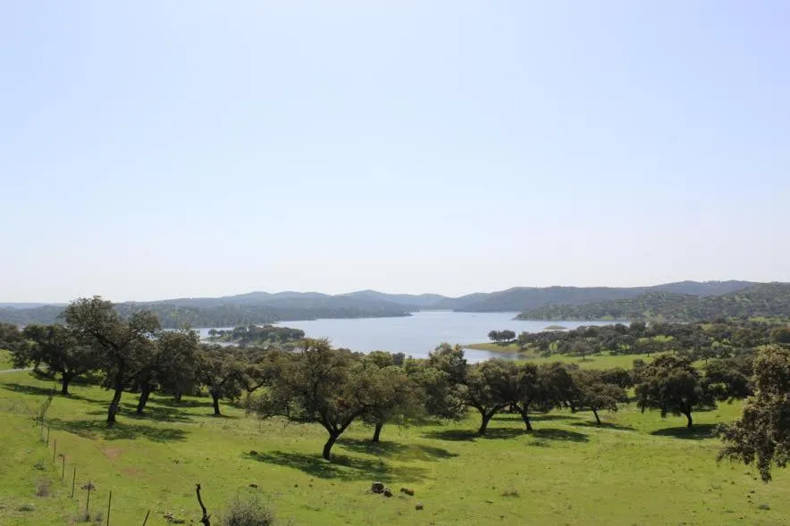 Natural landscape in Hotel Entreolivos