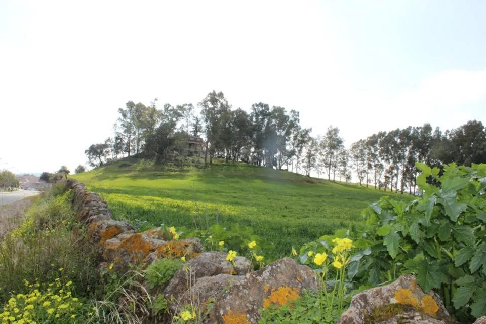 Natural landscape in Hotel Entreolivos