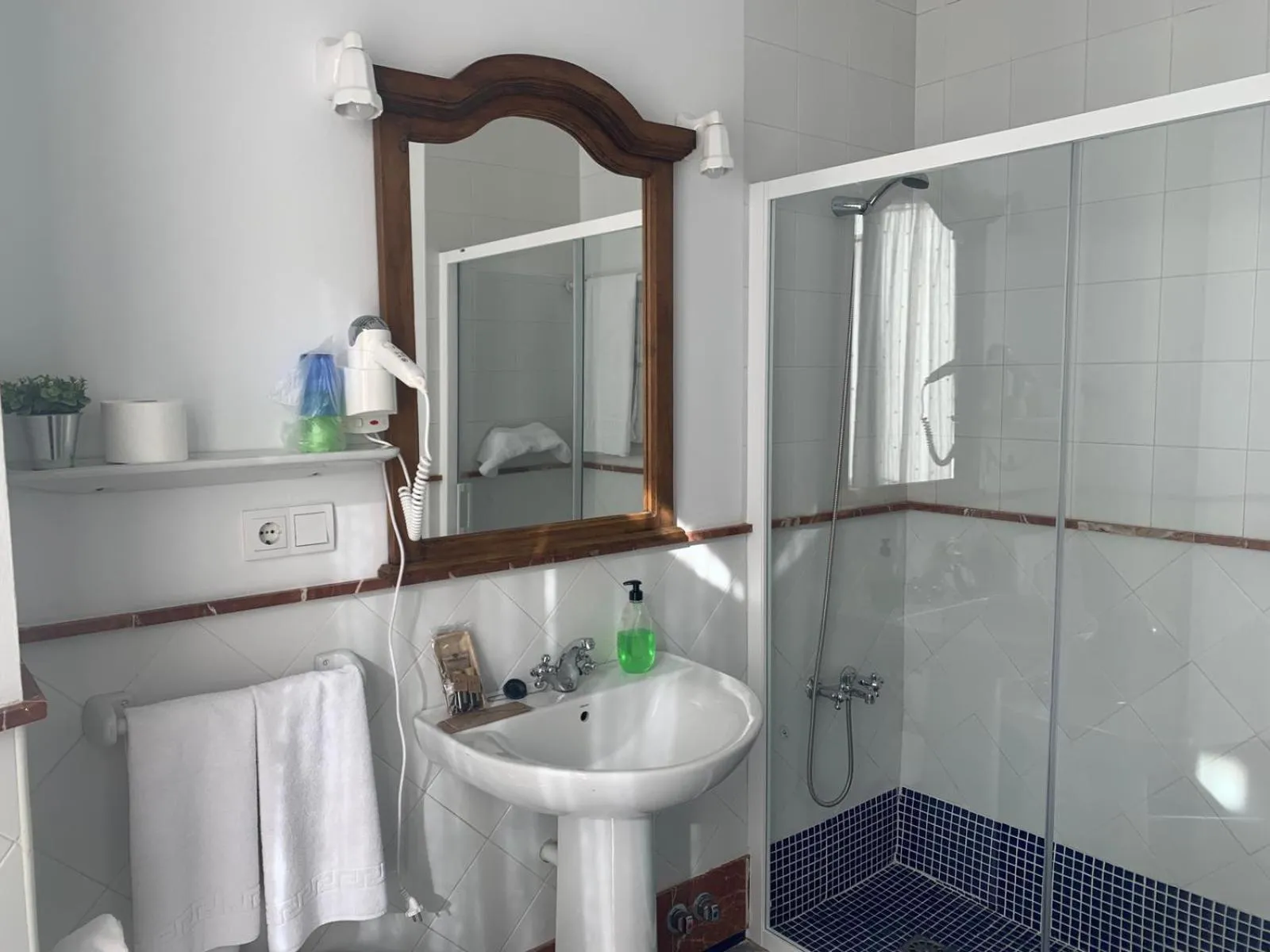 Shower in Hotel Entreolivos