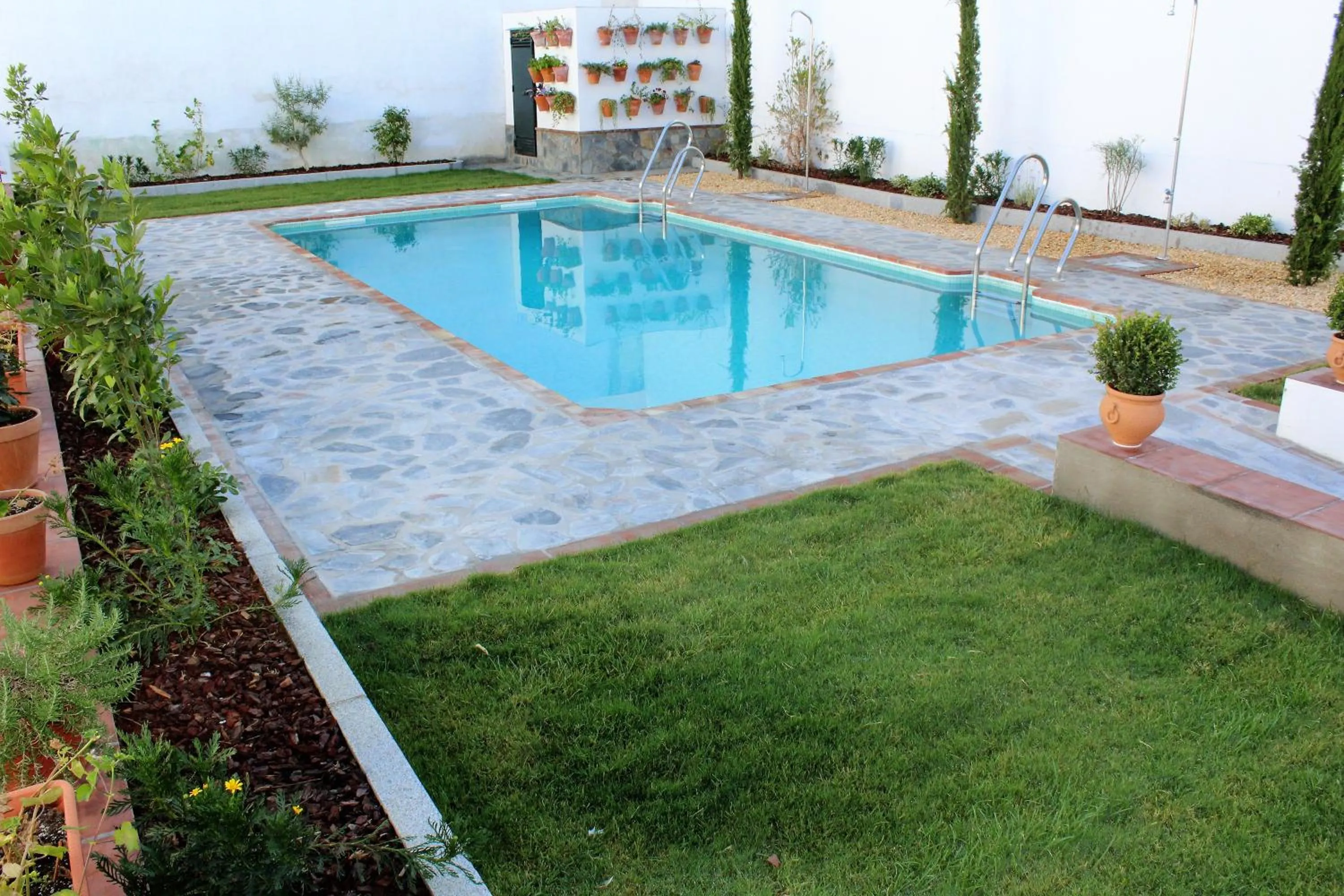 Swimming pool in Hotel Entreolivos