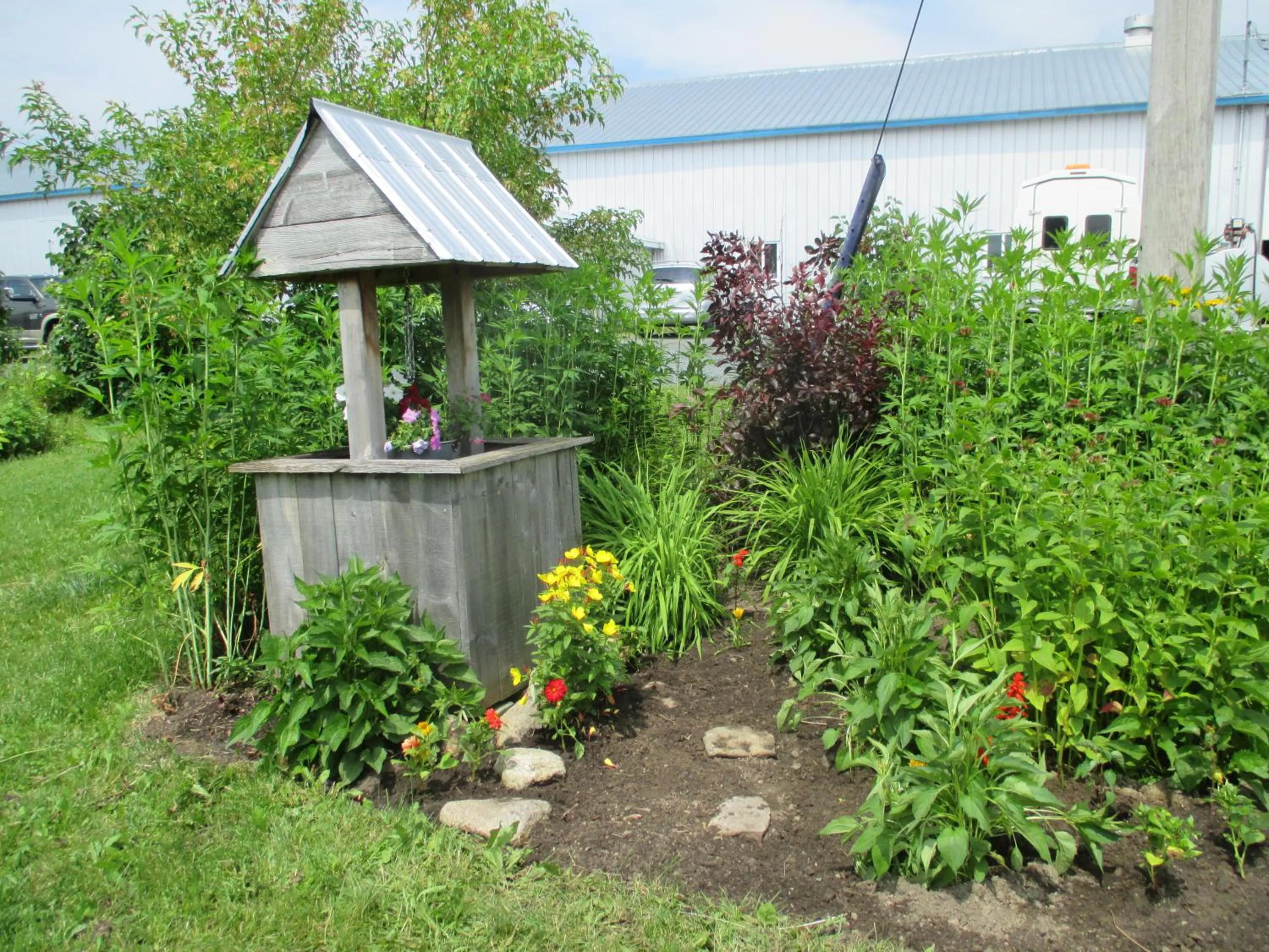 Garden in Gite Agricole Les Lilas