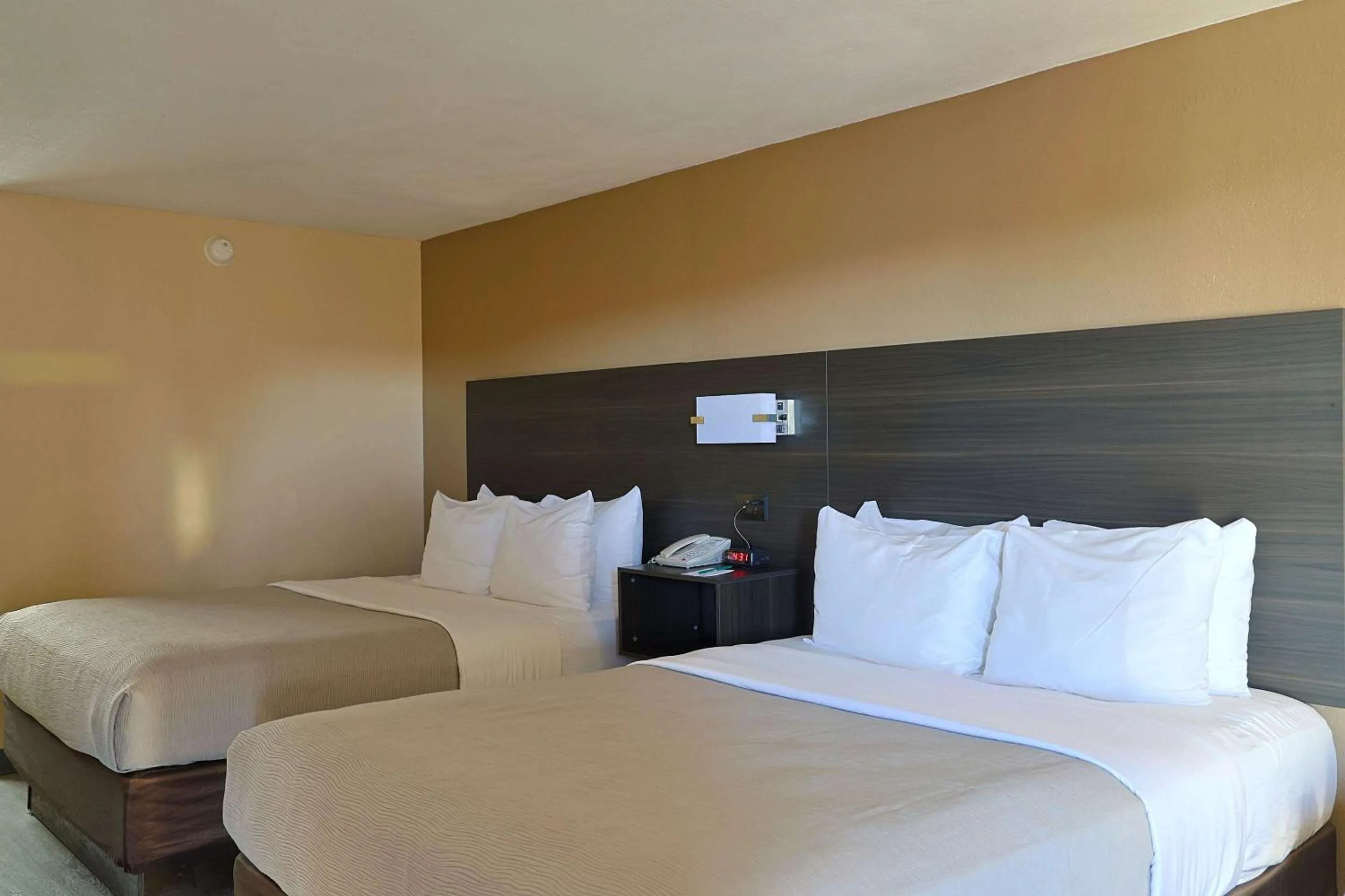 Bedroom, Bed in Quality Inn Kennedy Space Center