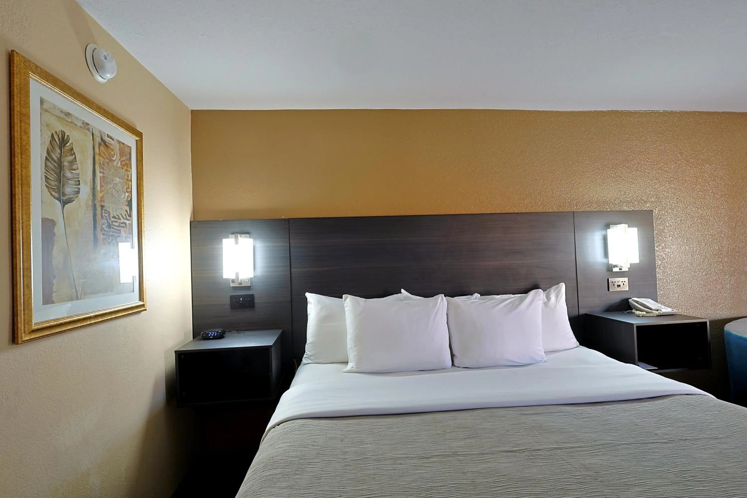 Bed in Quality Inn Kennedy Space Center