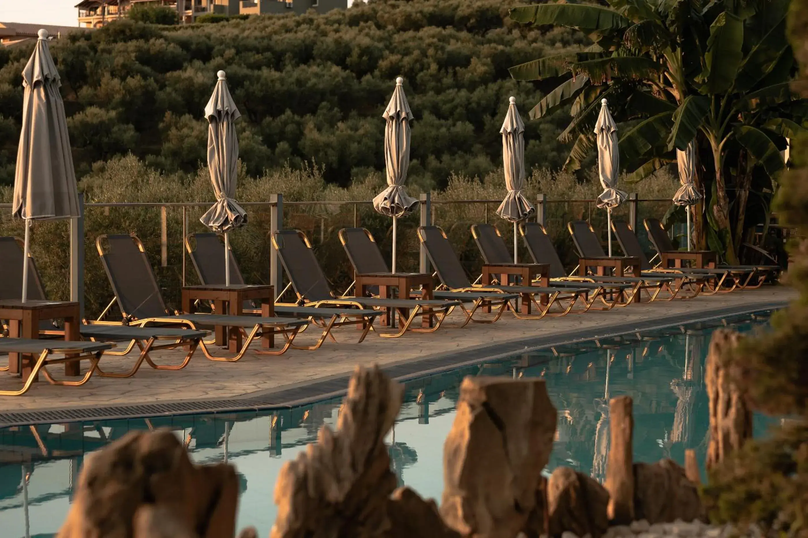 Swimming pool in Zante Calinica Hotel Swimming pool in Zante Calinica Hotel