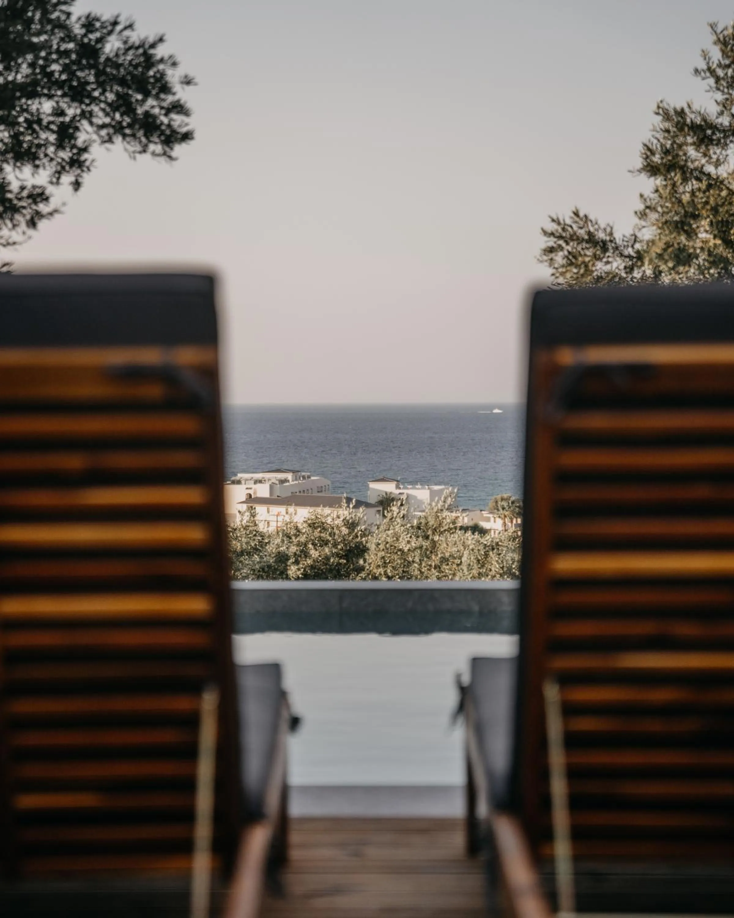 Balcony/Terrace in Zante Calinica Hotel