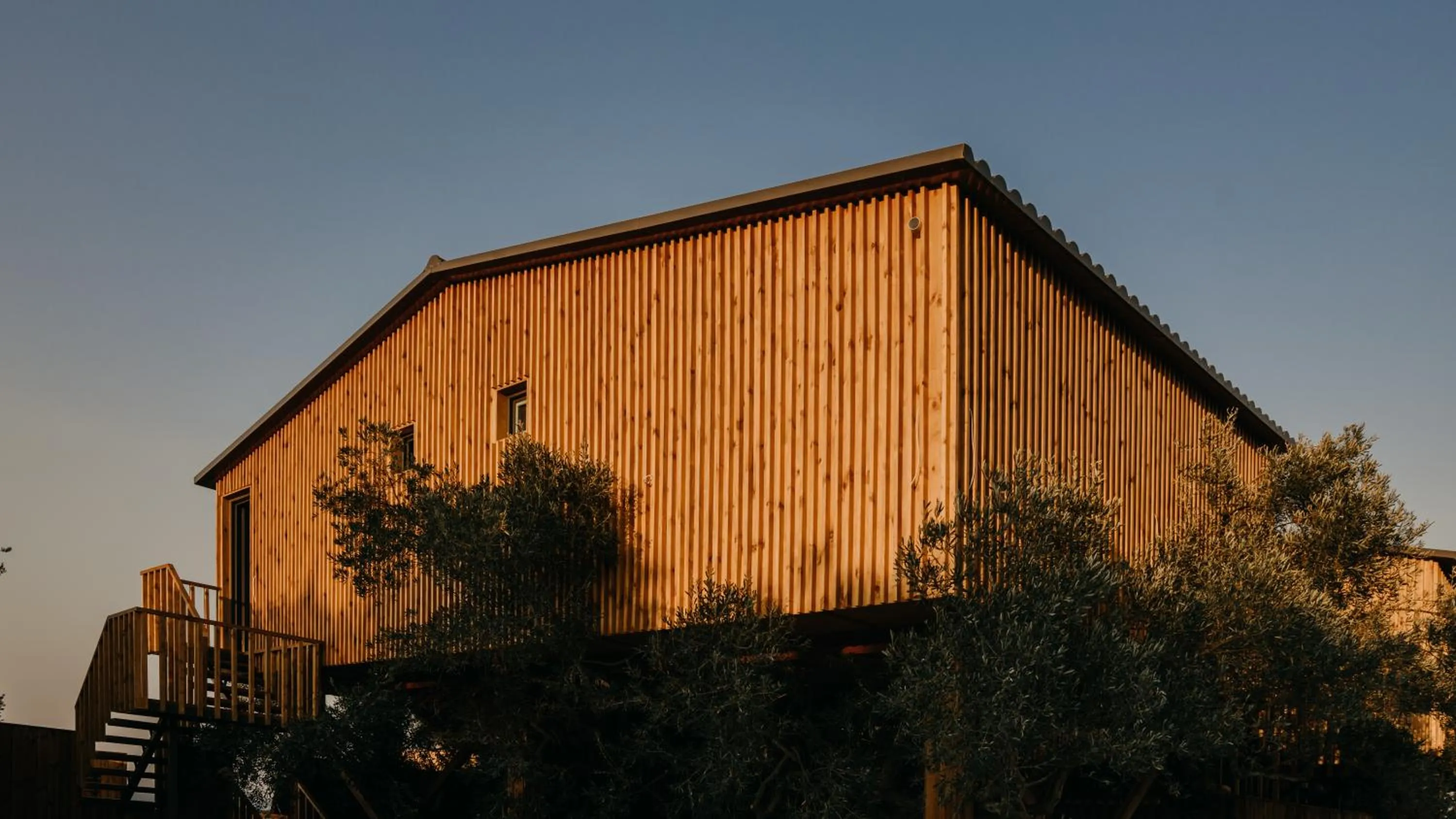 Property building in Zante Calinica Hotel