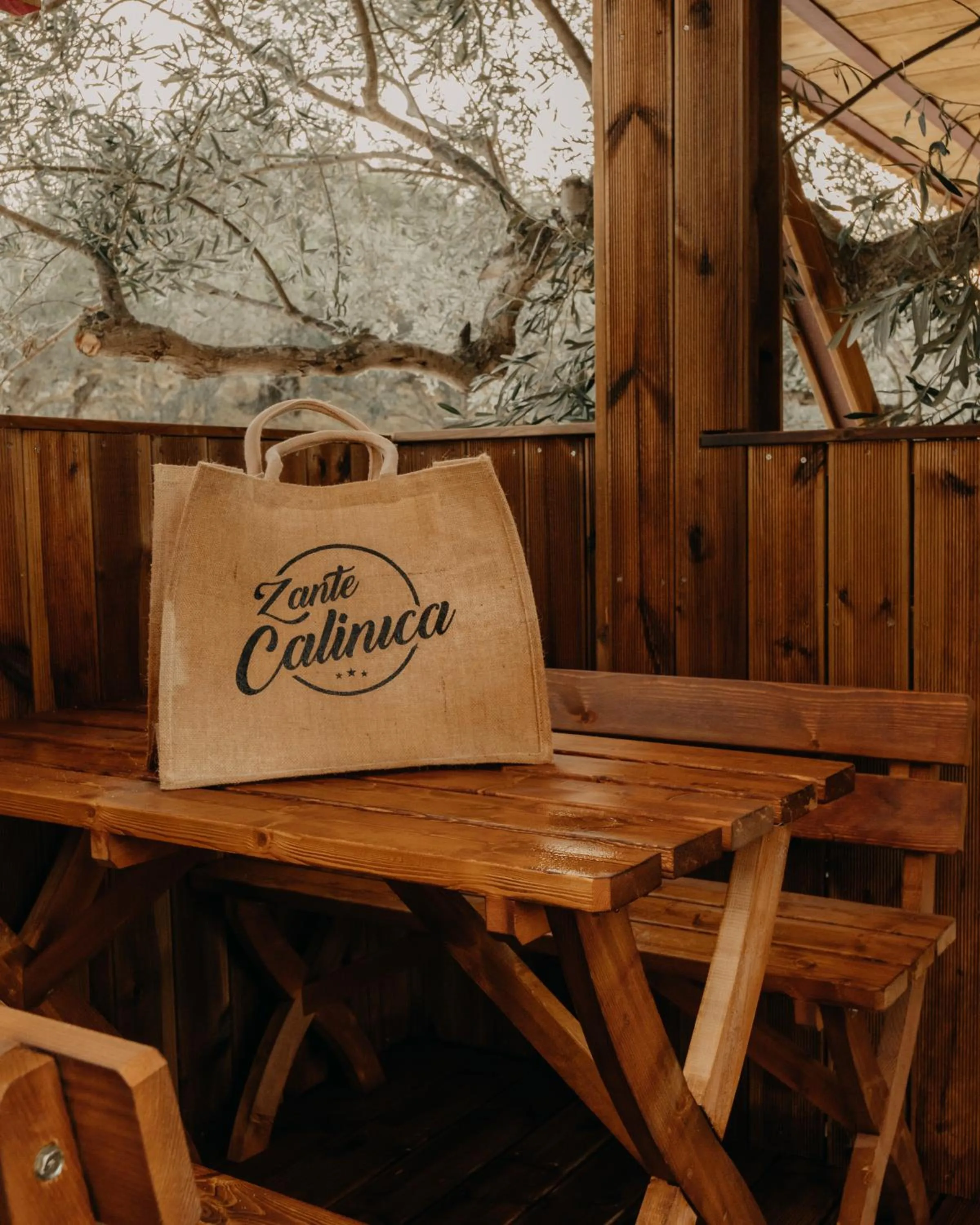 Property logo or sign in Zante Calinica Hotel