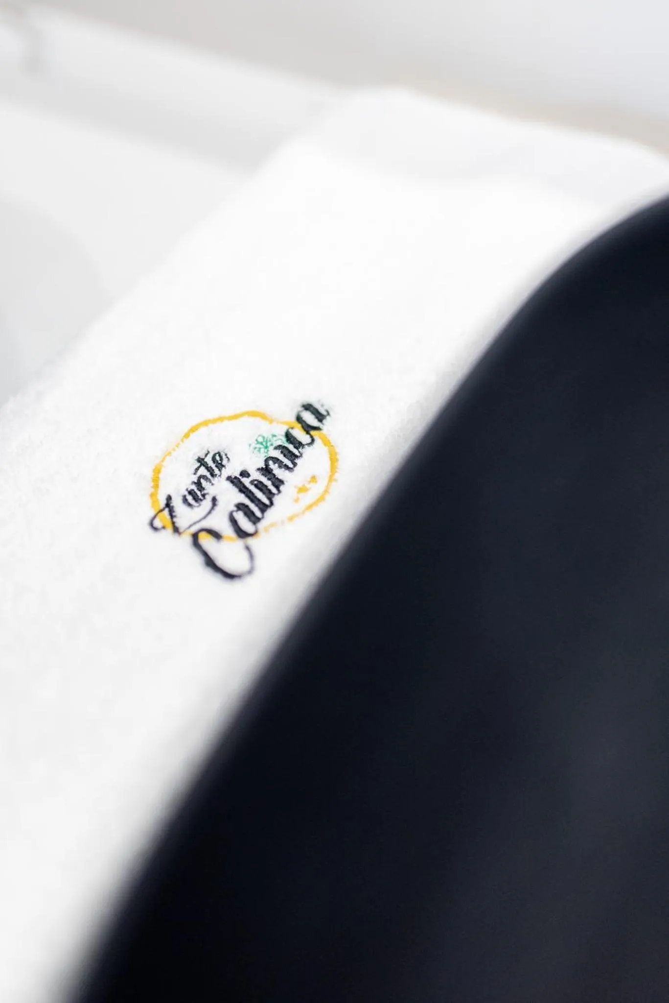 Property logo or sign in Zante Calinica Hotel