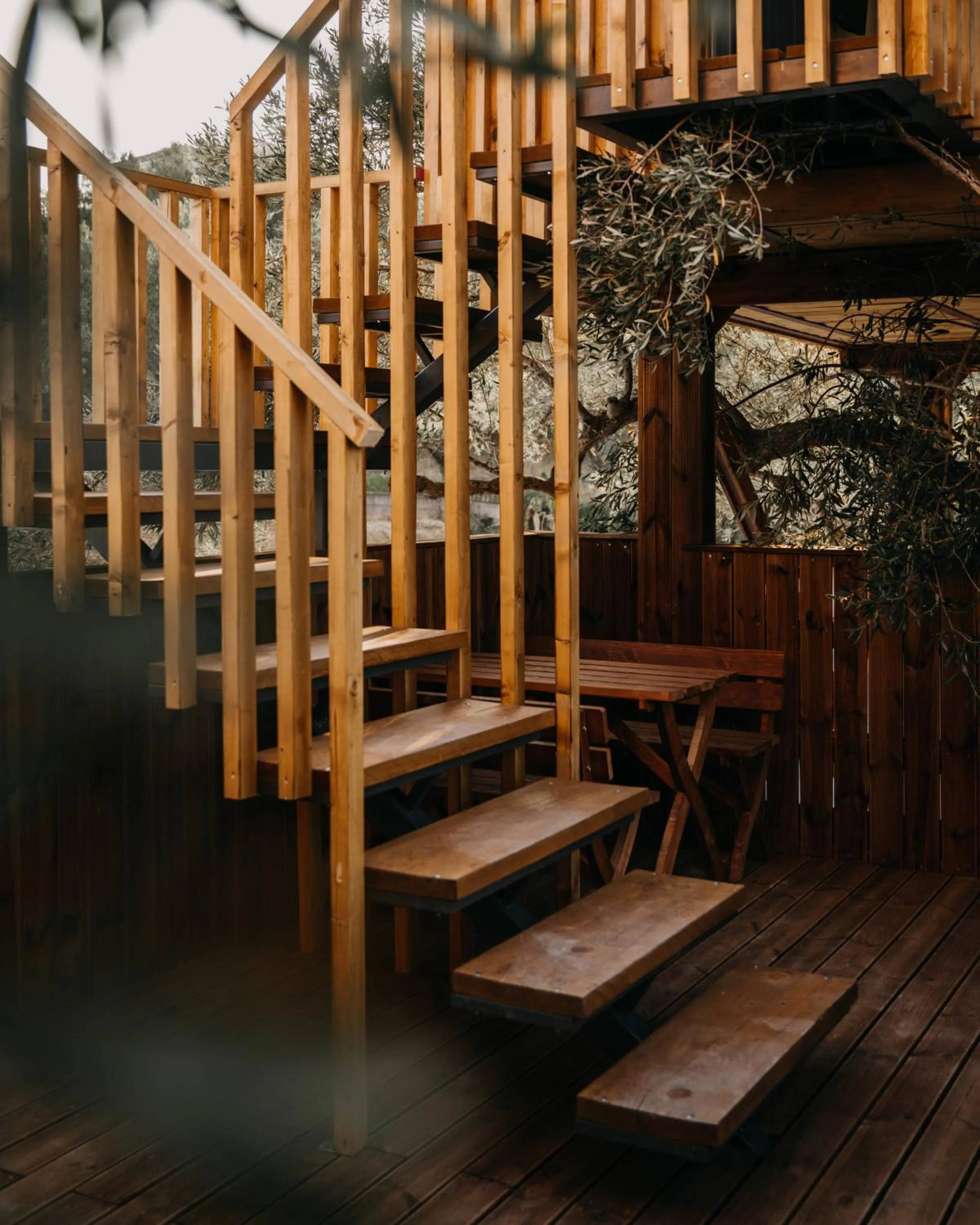 Property building in Zante Calinica Hotel