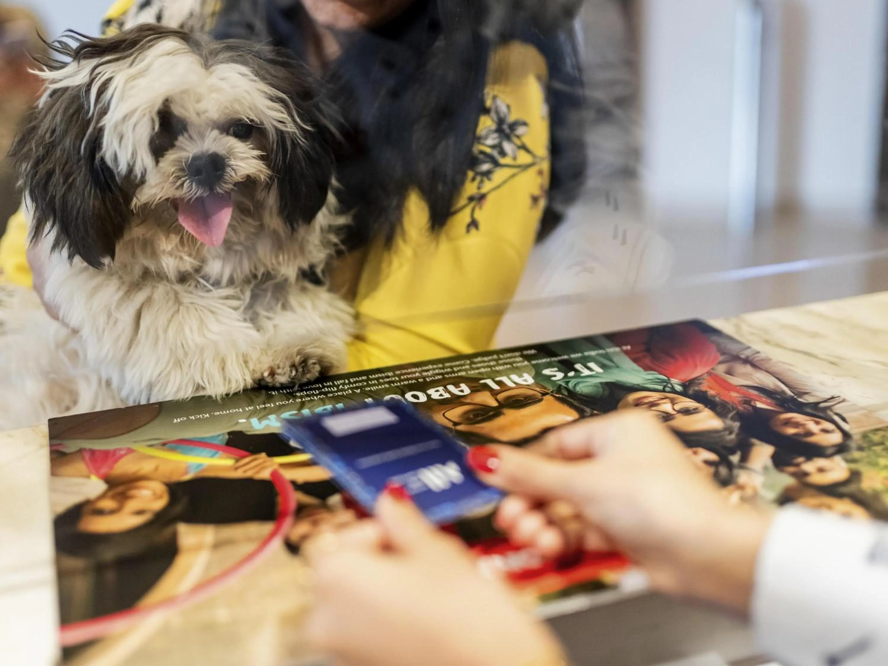 Other in ibis Gurgaon Golf Course Road - An Accor Brand