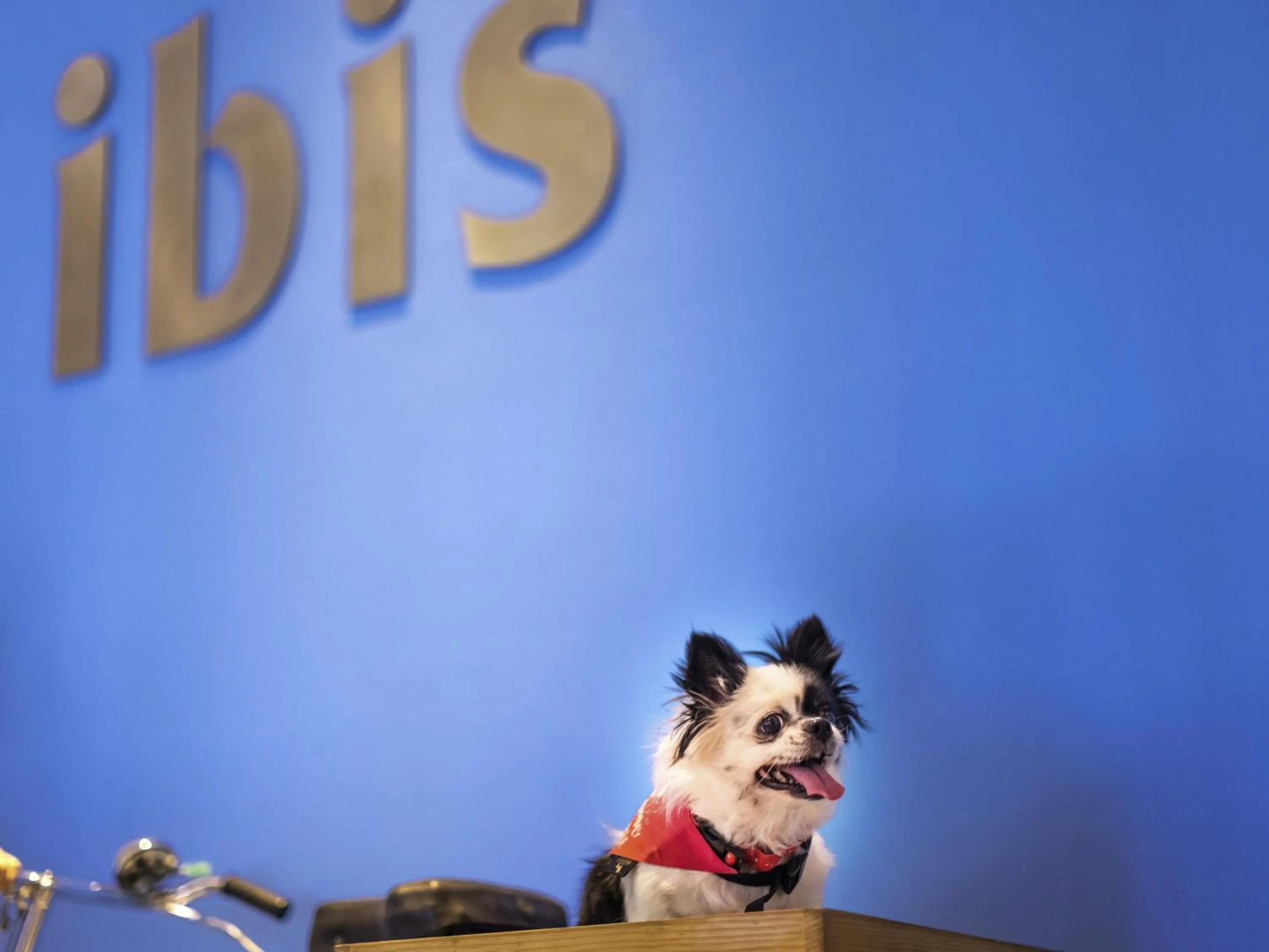 Other in ibis Pune Viman Nagar - An Accor Brand