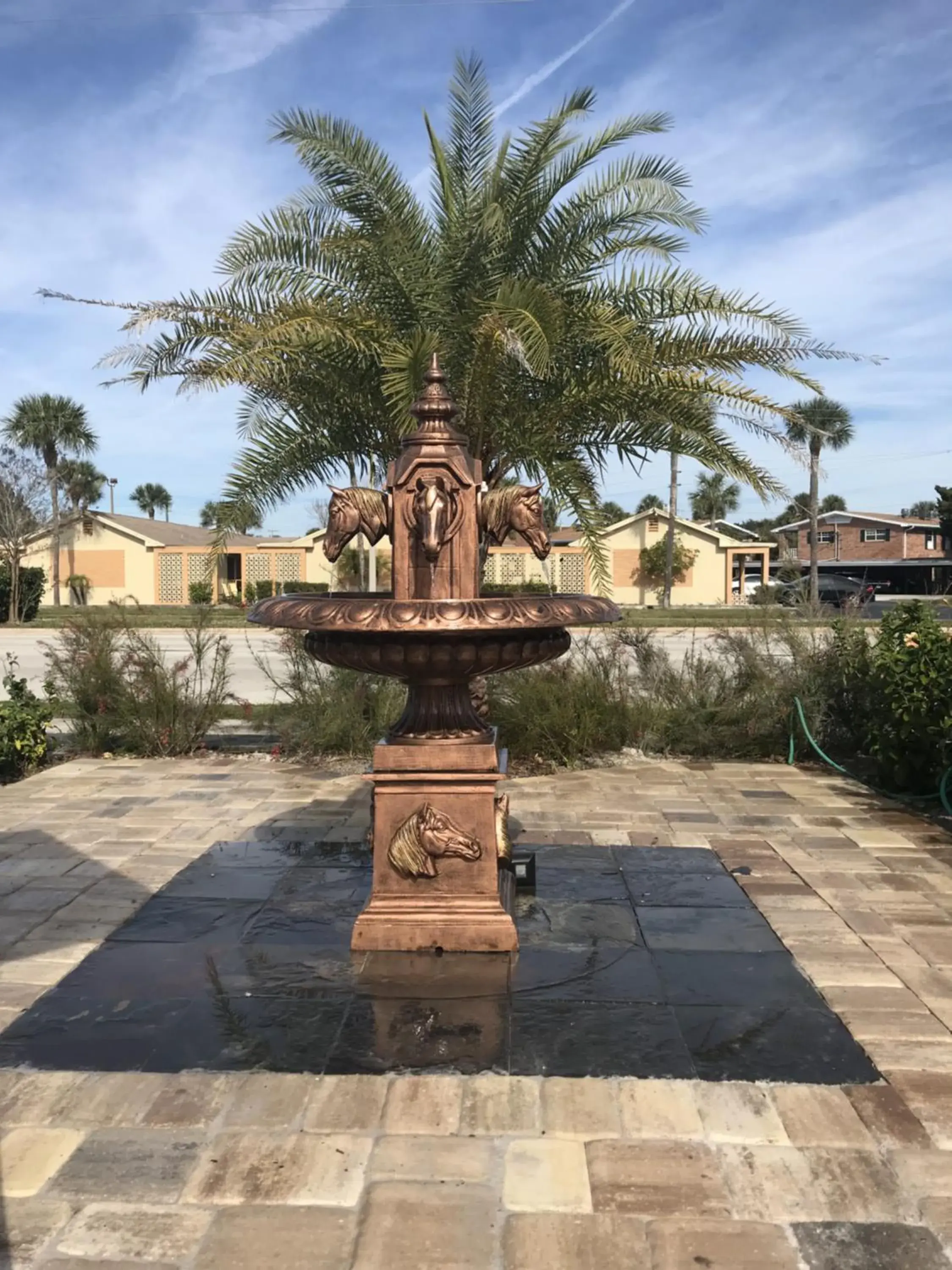 Garden, Swimming Pool in Old Town Inn