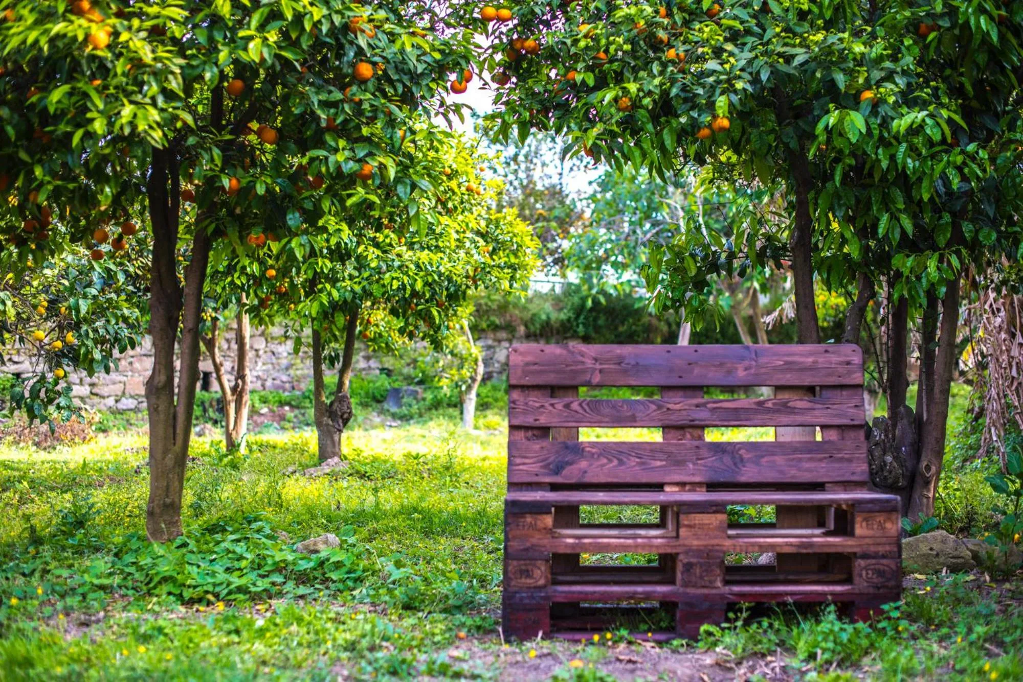 Garden in Il Borghetto Apartments & Rooms