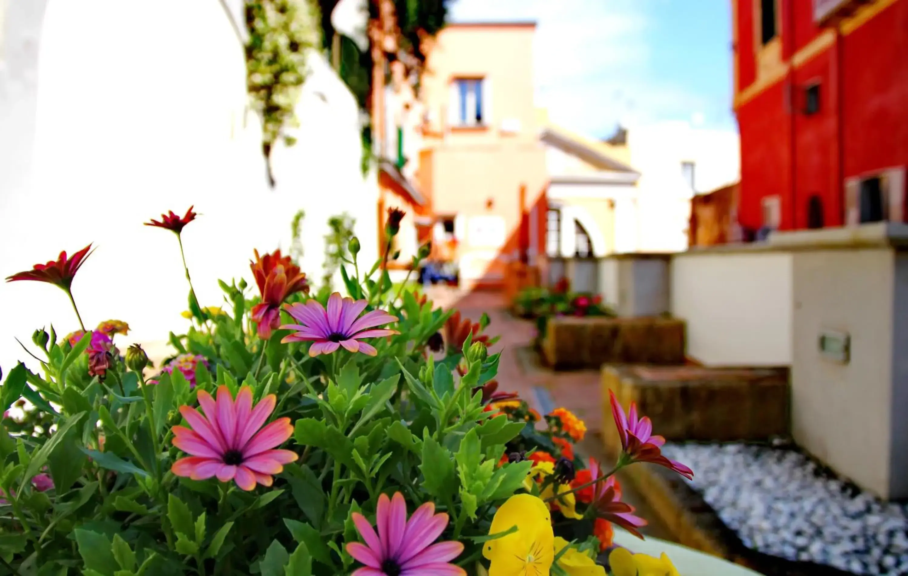 Il Borghetto Apartments & Rooms Il Borghetto Apartments & Rooms
