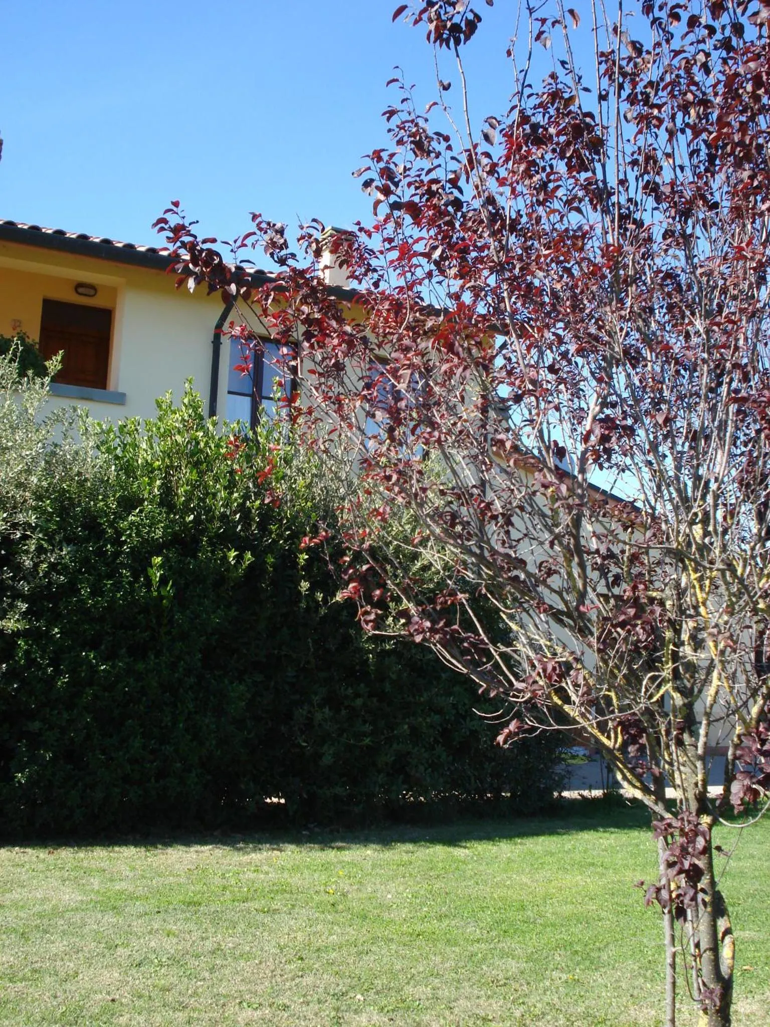 Property building in Residence Serristori