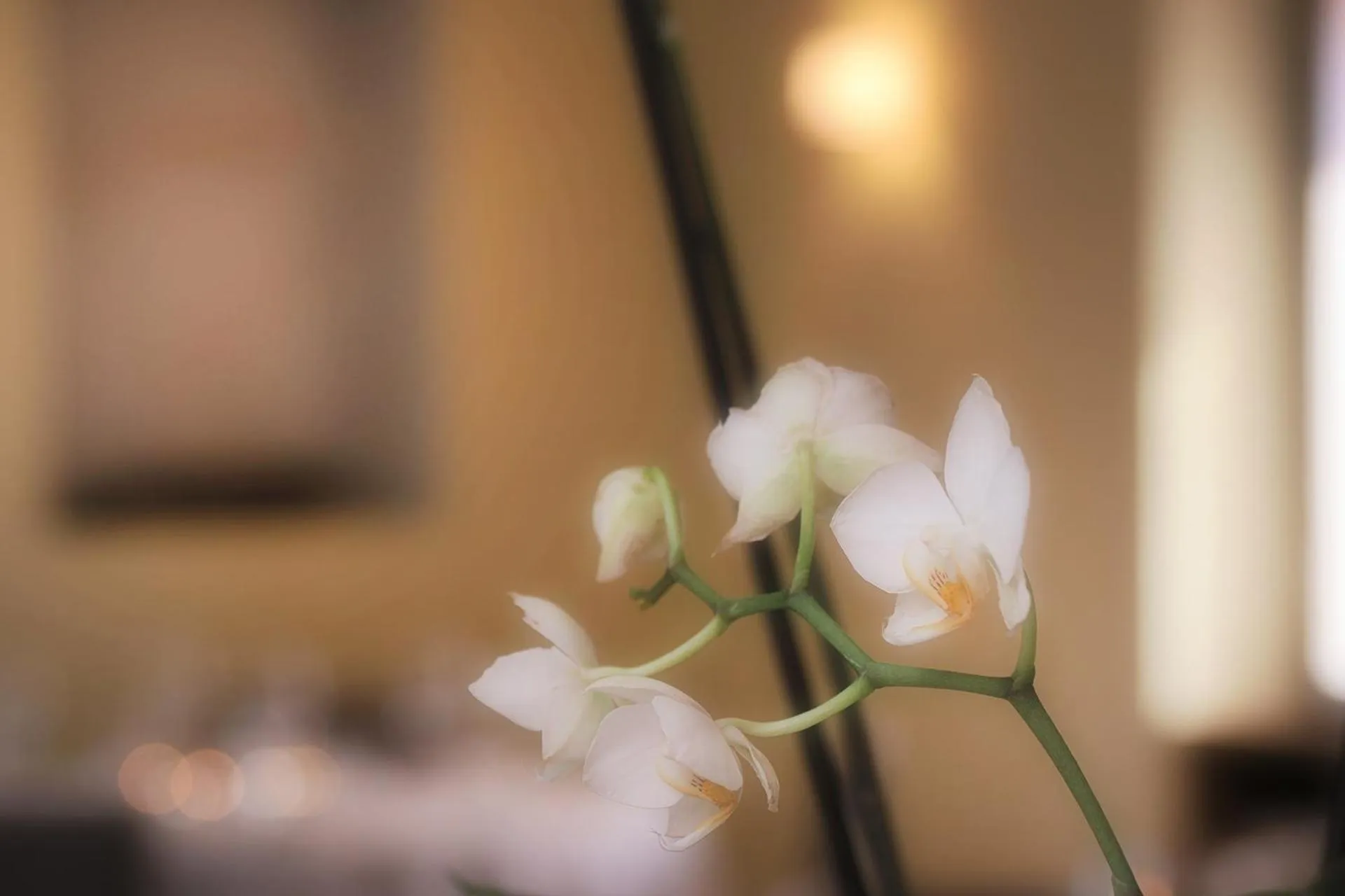 Decorative detail in Charme Hotel Ristorante Tre Terre