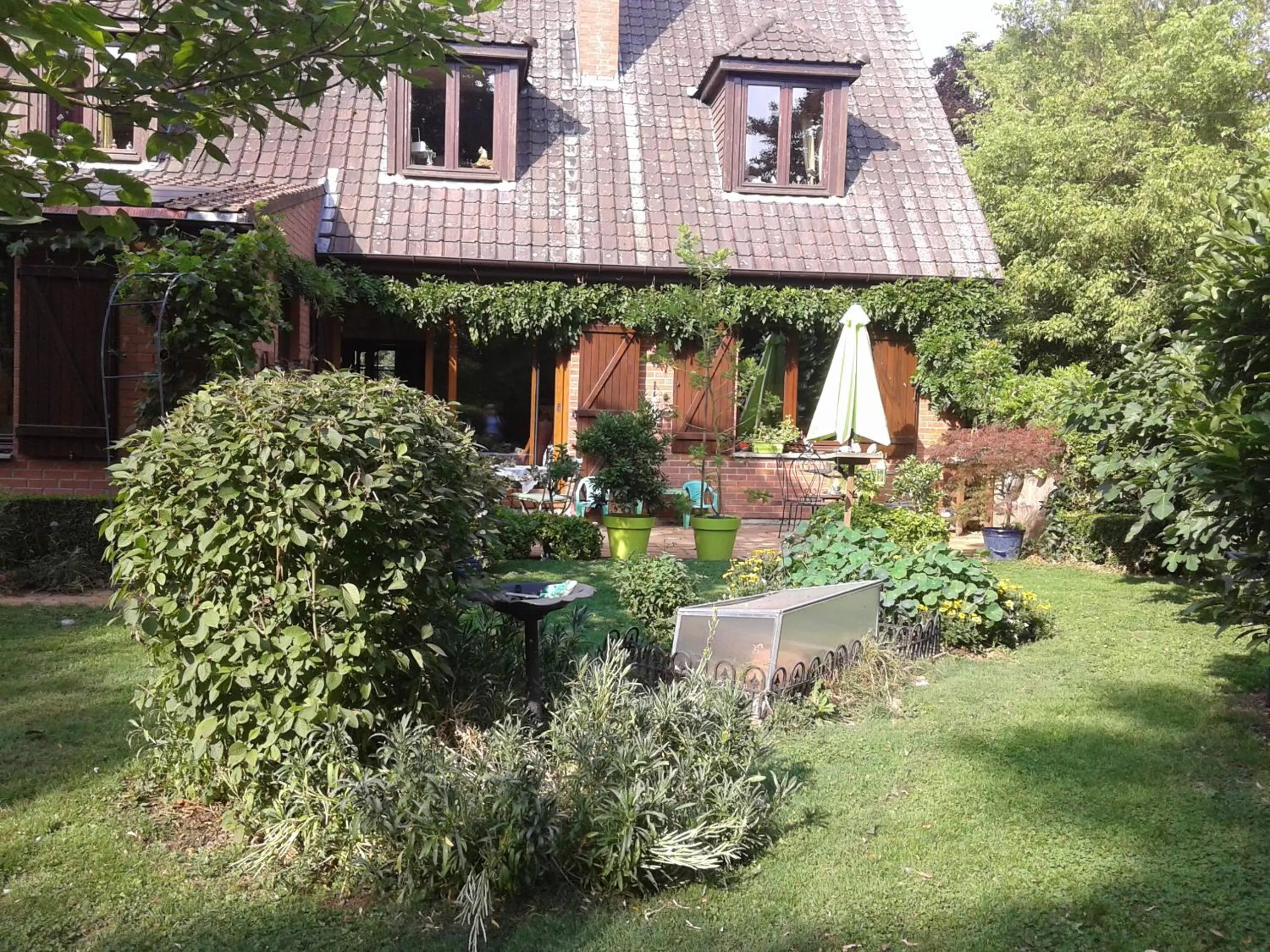 Summer in Chambre d'hôtes Élevage' chemin noir