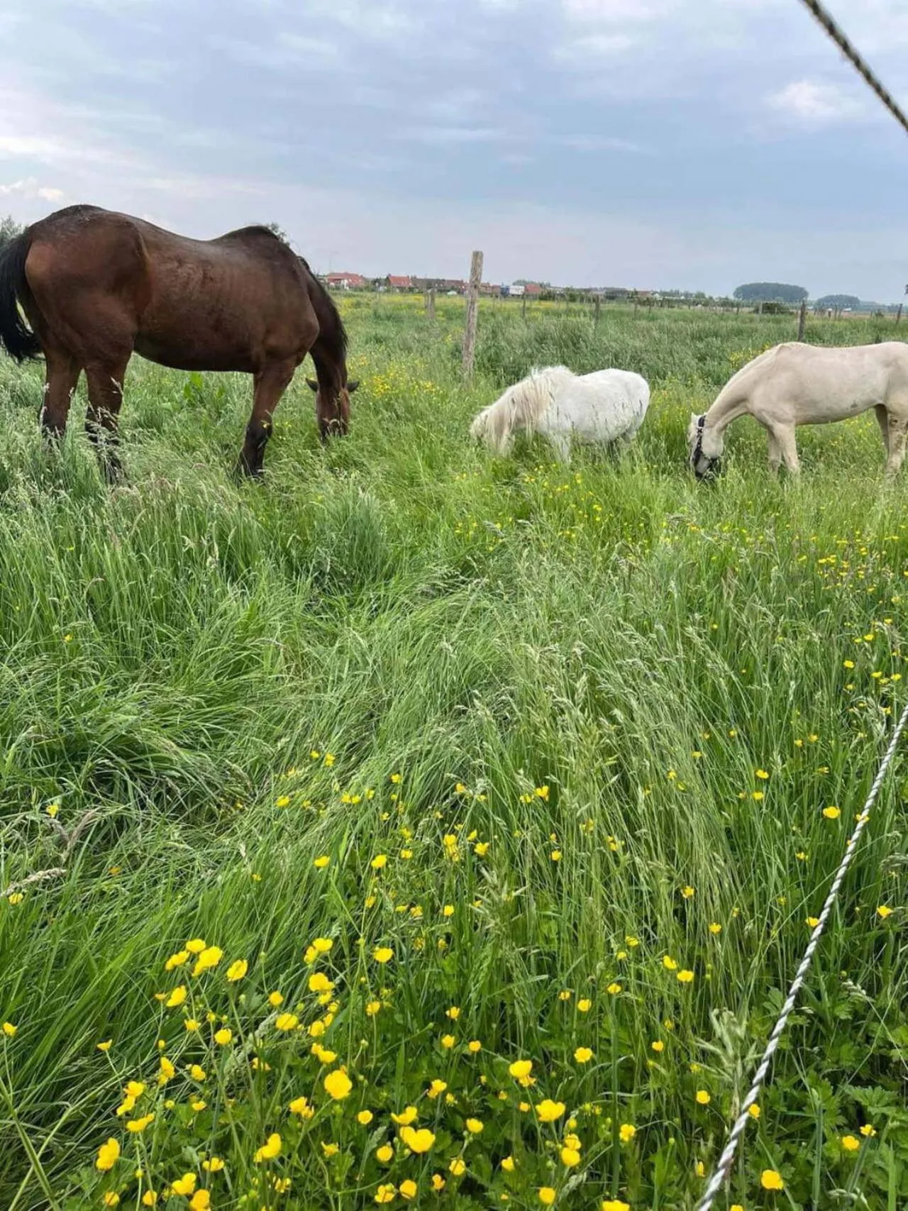 Inner courtyard view in Chambre d'hôtes Élevage' chemin noir