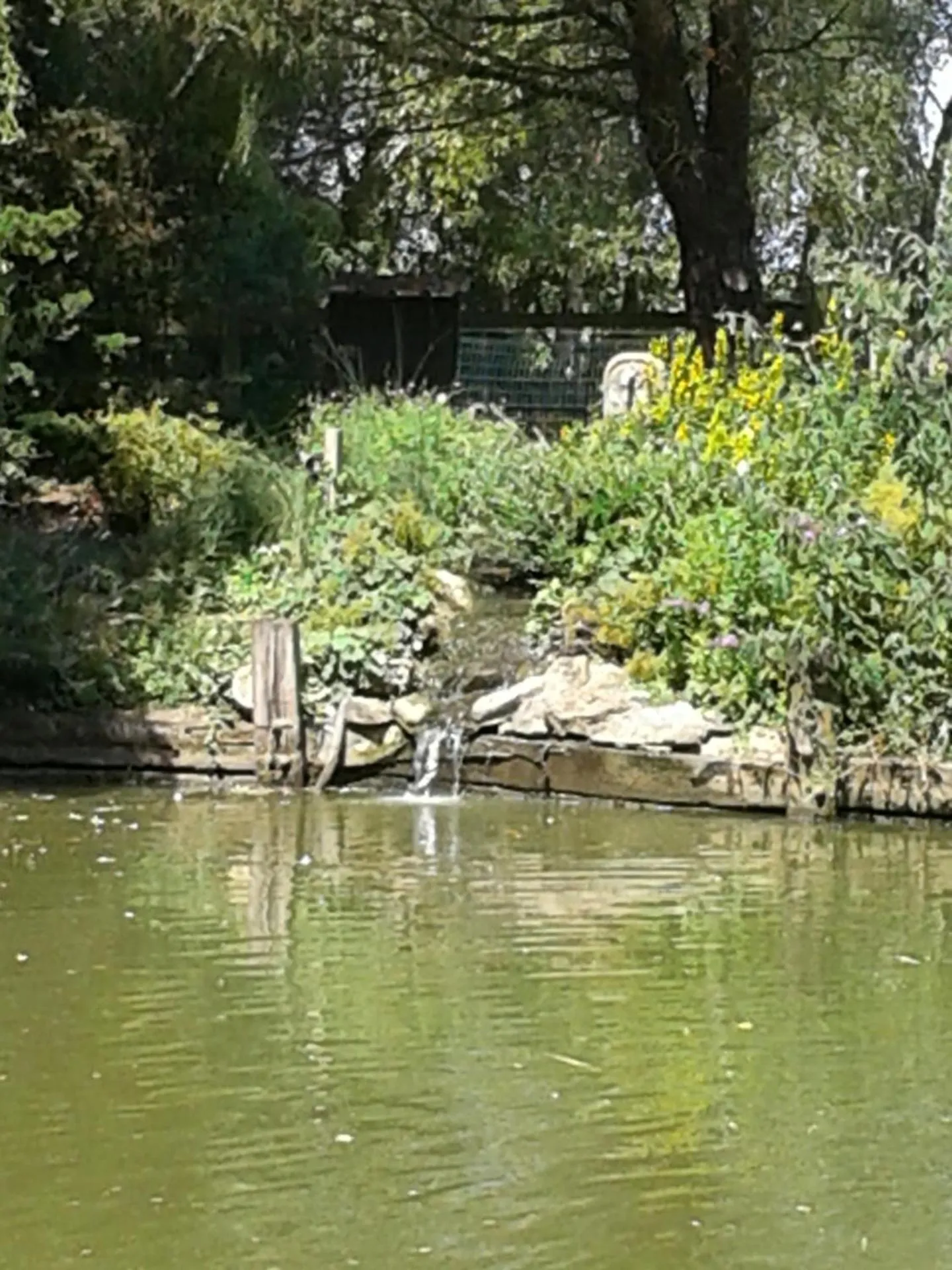 Summer in Chambre d'hôtes Élevage' chemin noir