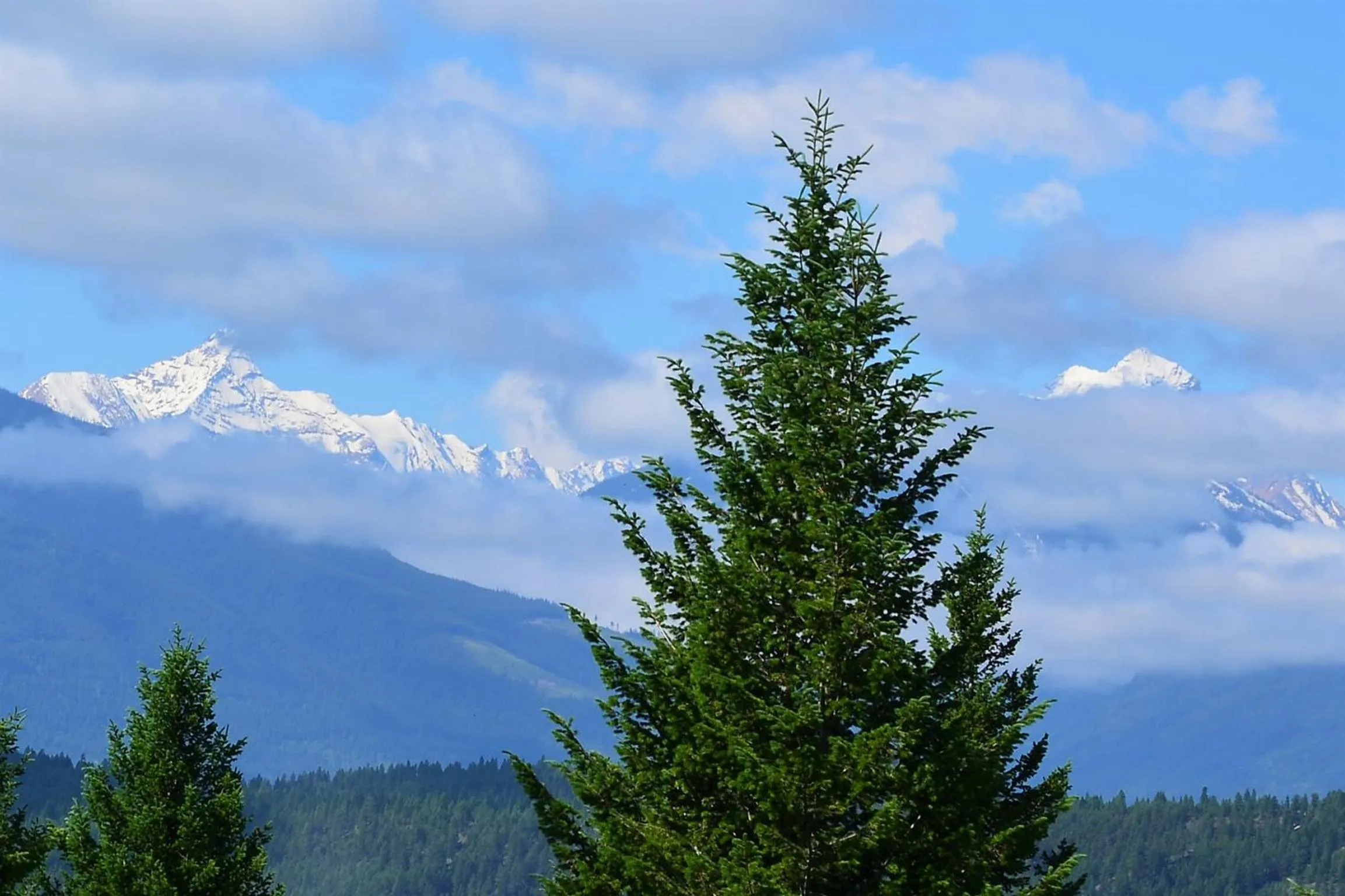 Natural landscape in Mountain View Radium Condo - Copper Horn Village