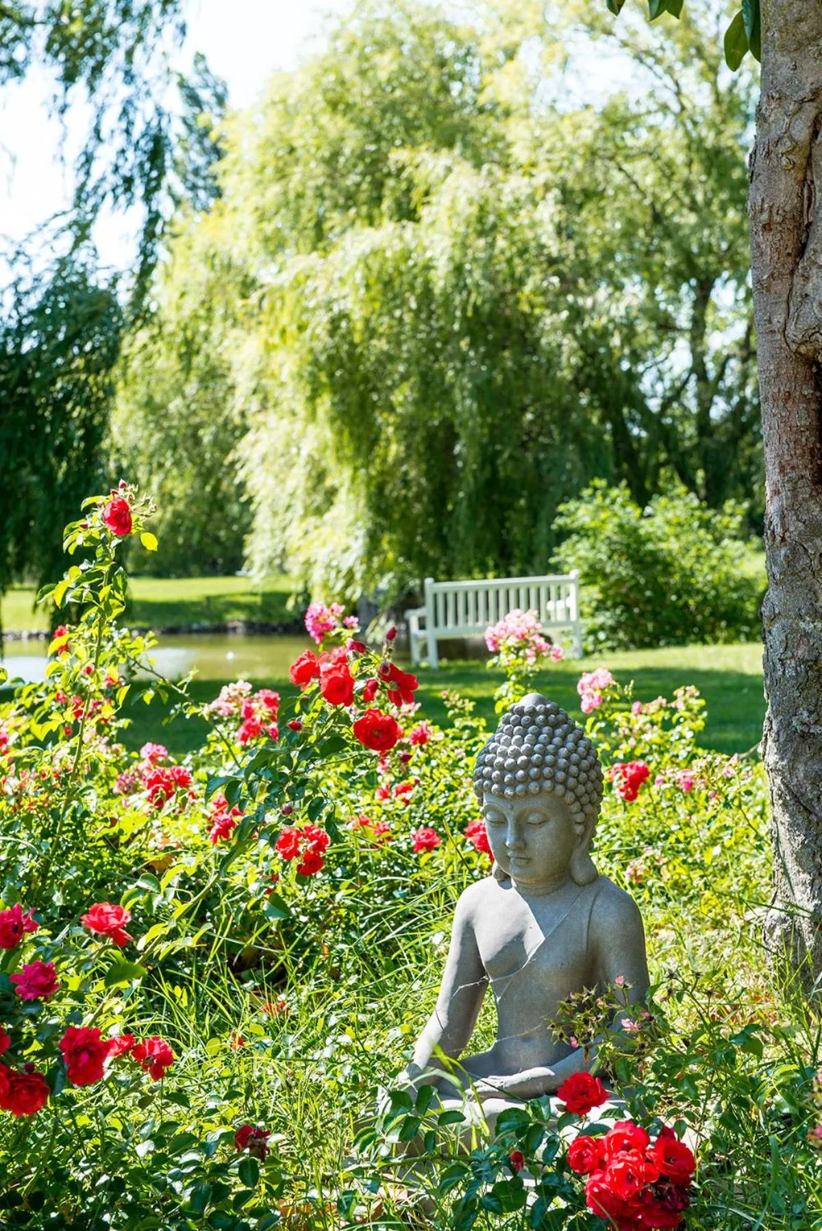 Garden in Château De Massillan
