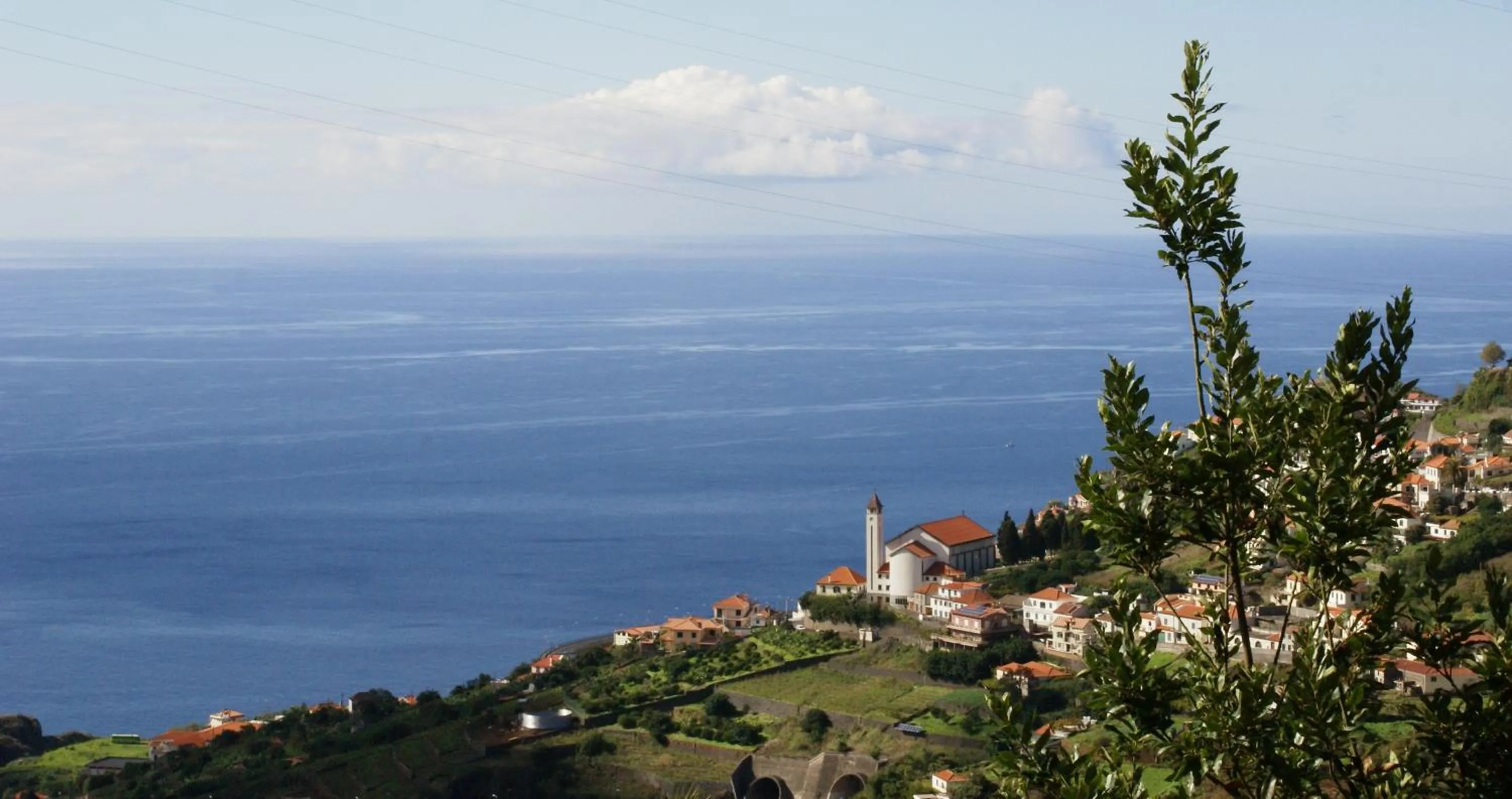 Natural landscape in Quinta Paços do Lago