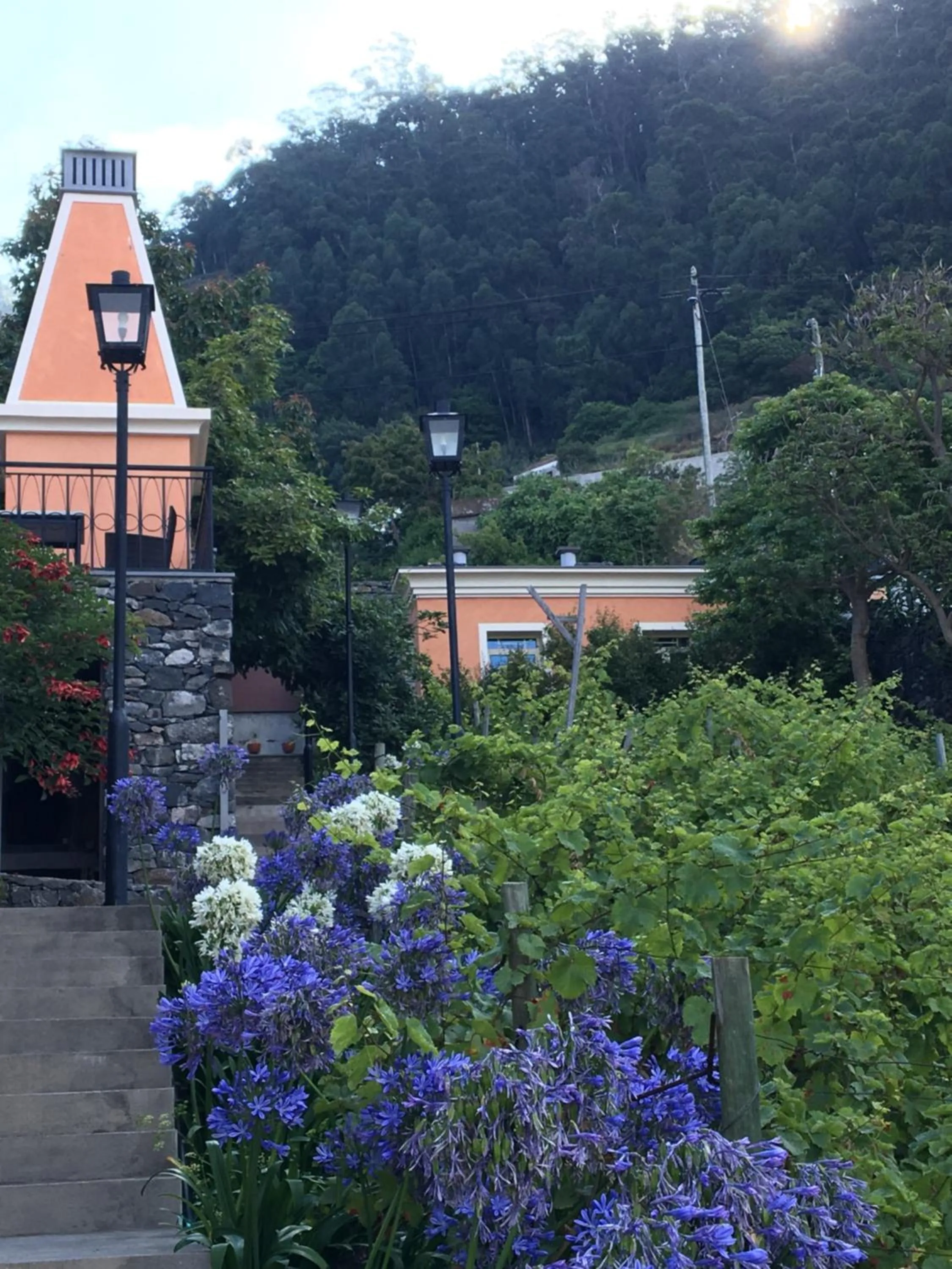Hiking in Quinta Paços do Lago