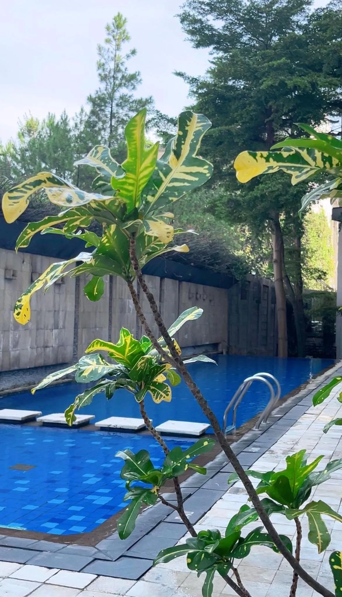 Swimming pool in Novotel Bandung