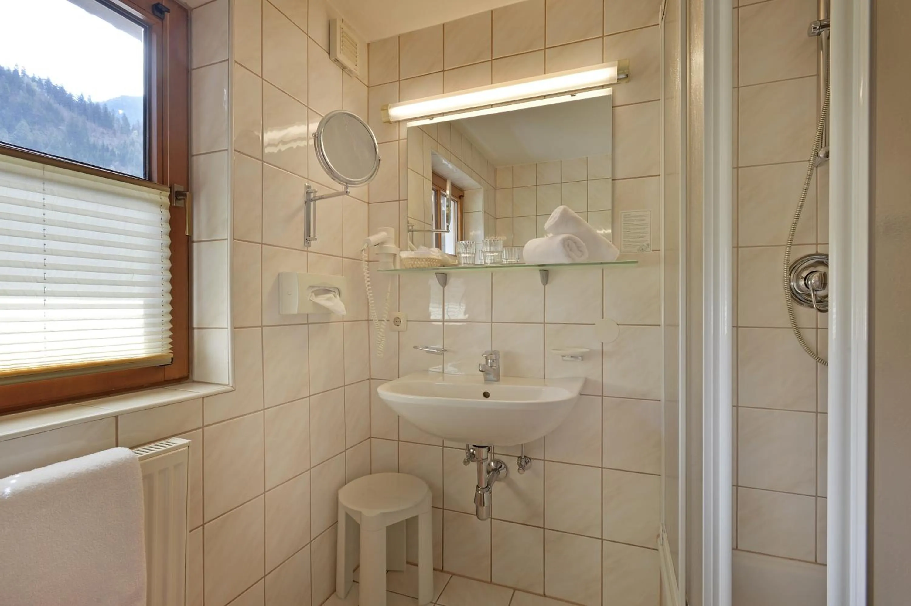 Shower in Hotel Waldheim Garni