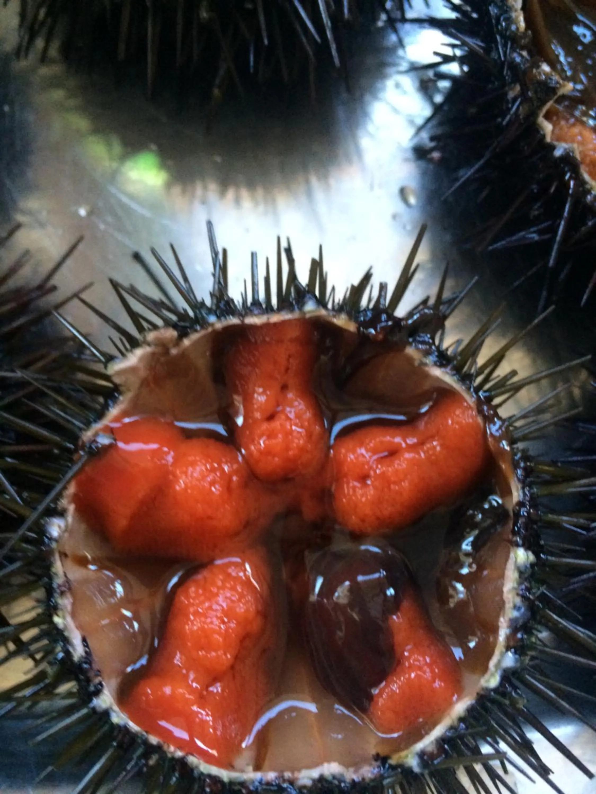 Hotel Ristorante Termitito