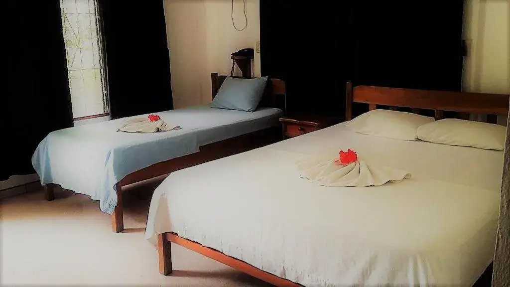 Standard Triple Room in Aunty Arenal Lodge Standard Triple Room in Aunty Arenal Lodge