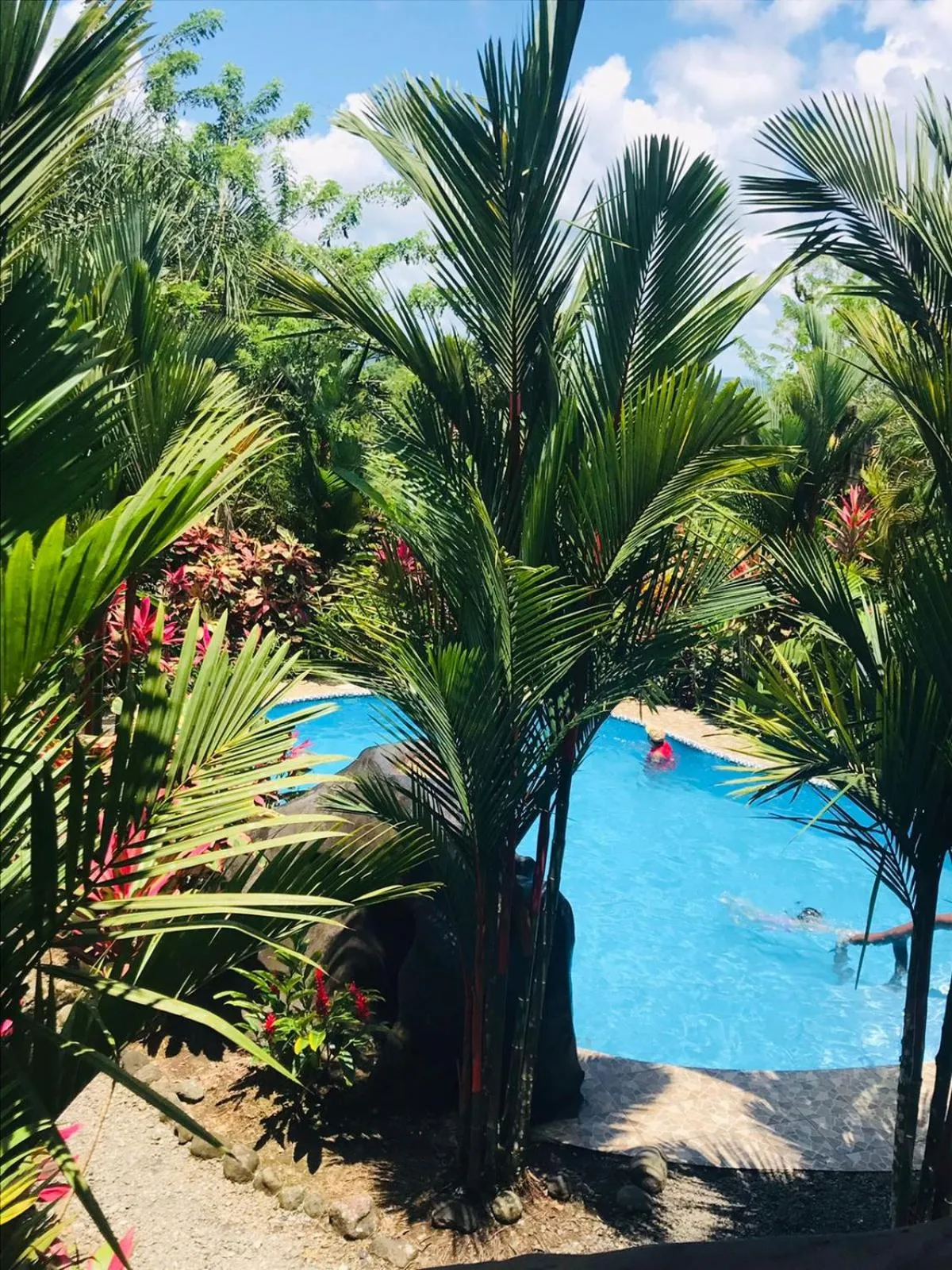 Swimming pool in Aunty Arenal Lodge