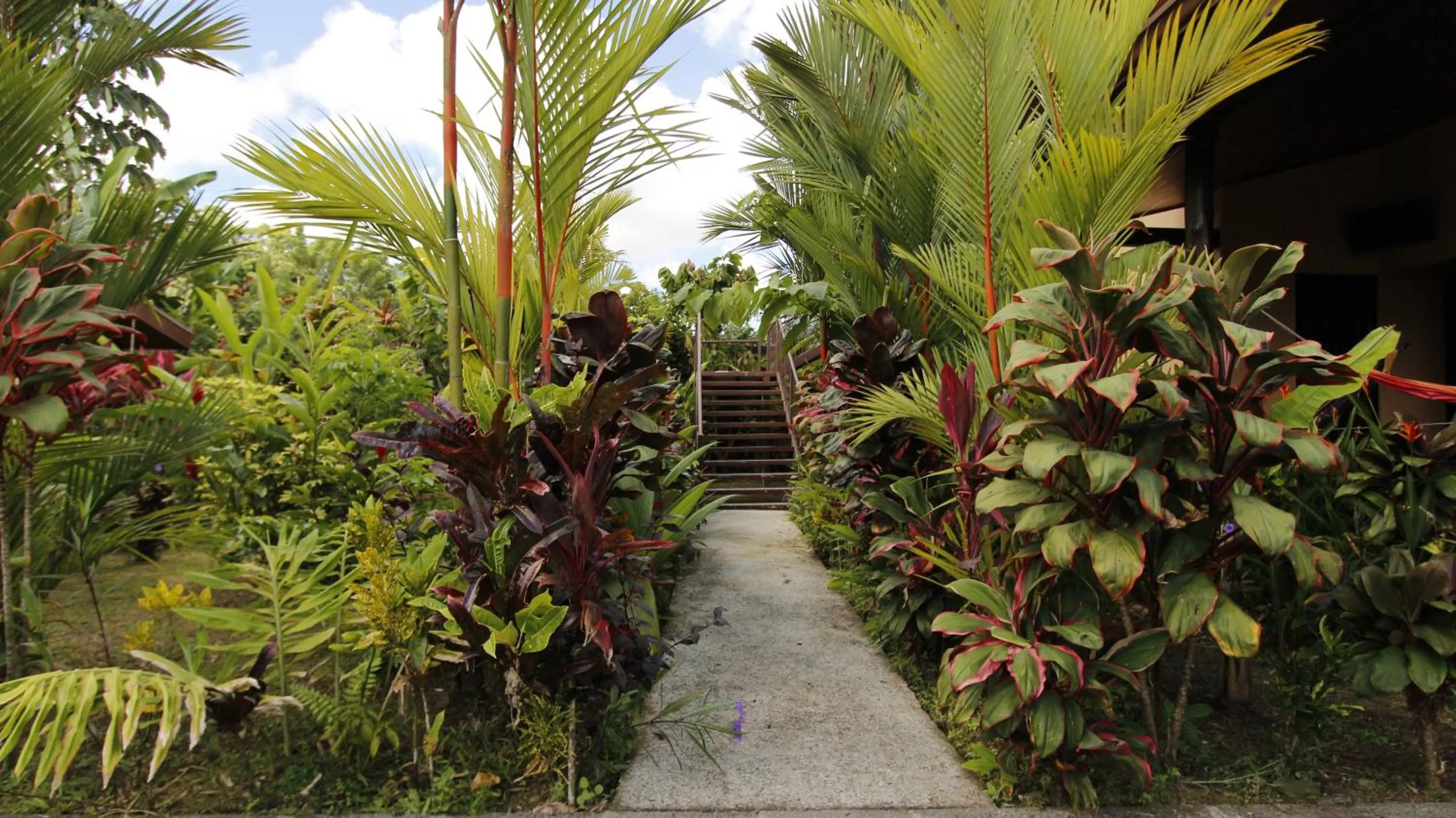 Garden in Aunty Arenal Lodge