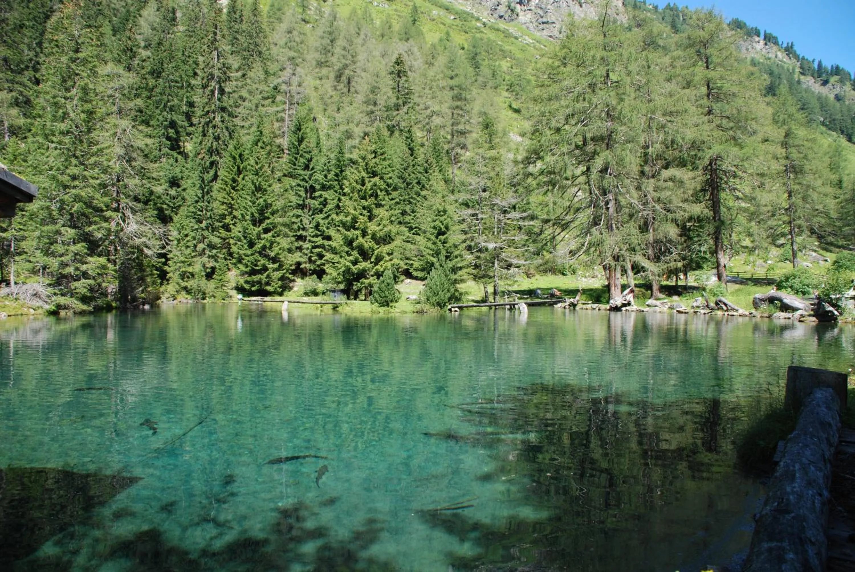 Natural landscape in Hotel Zum Granitzl