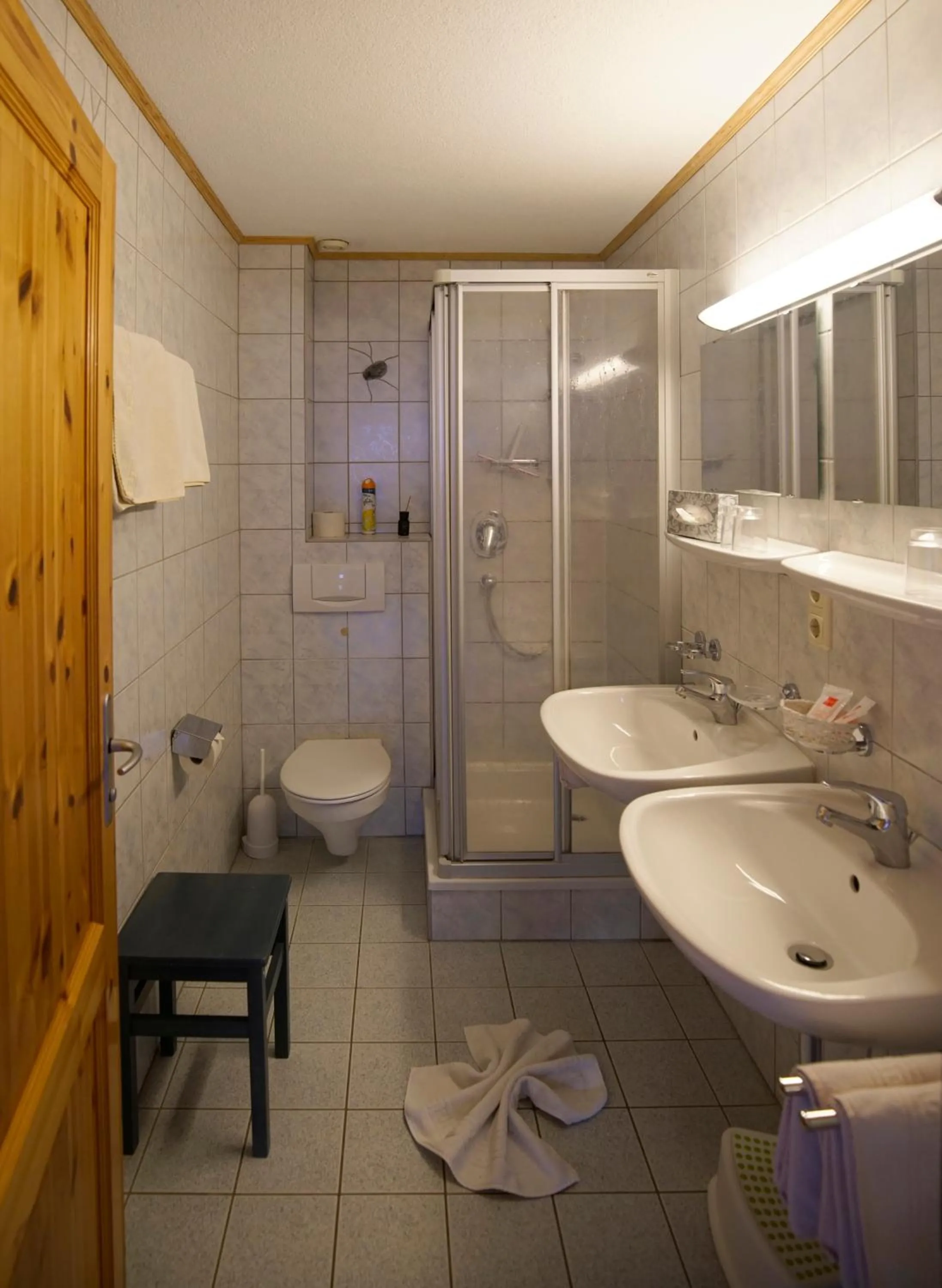 Bathroom in Alpenstern rooms & suites