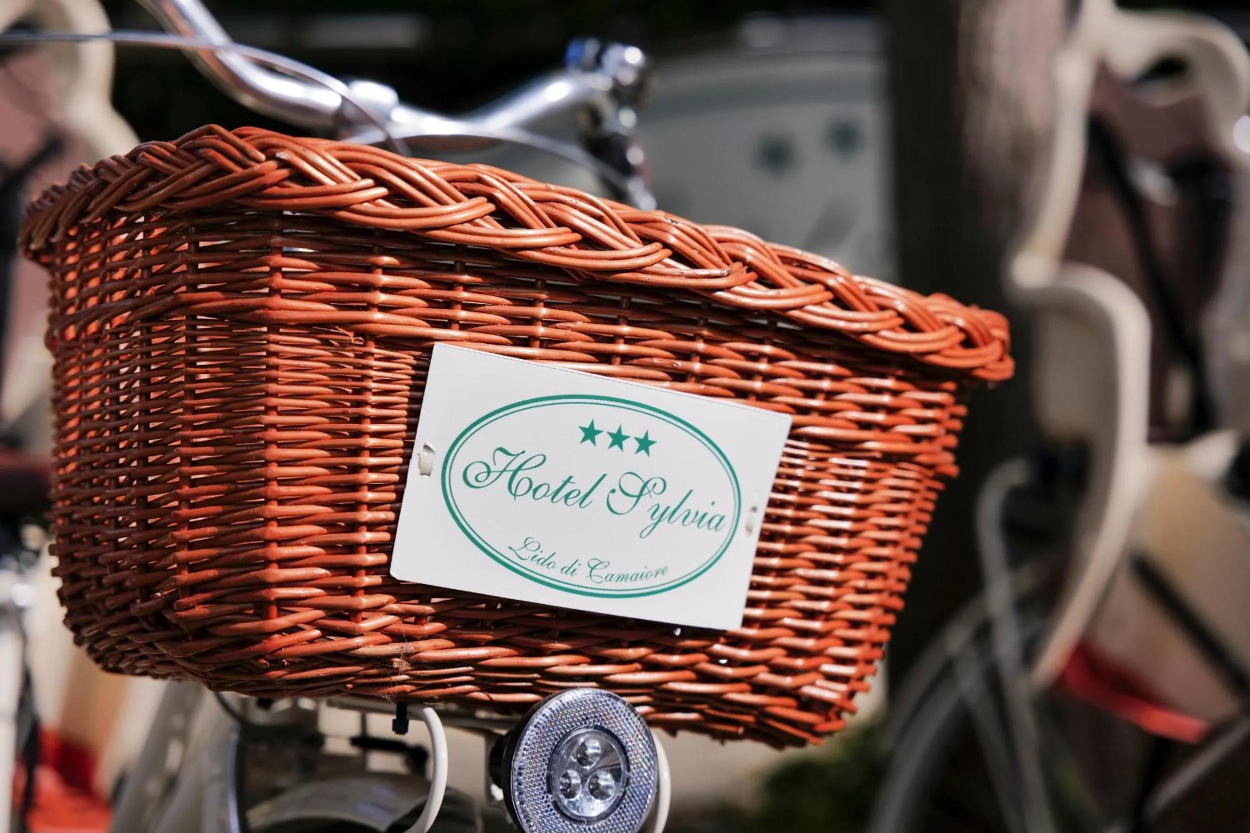 Activities in Hotel Sylvia