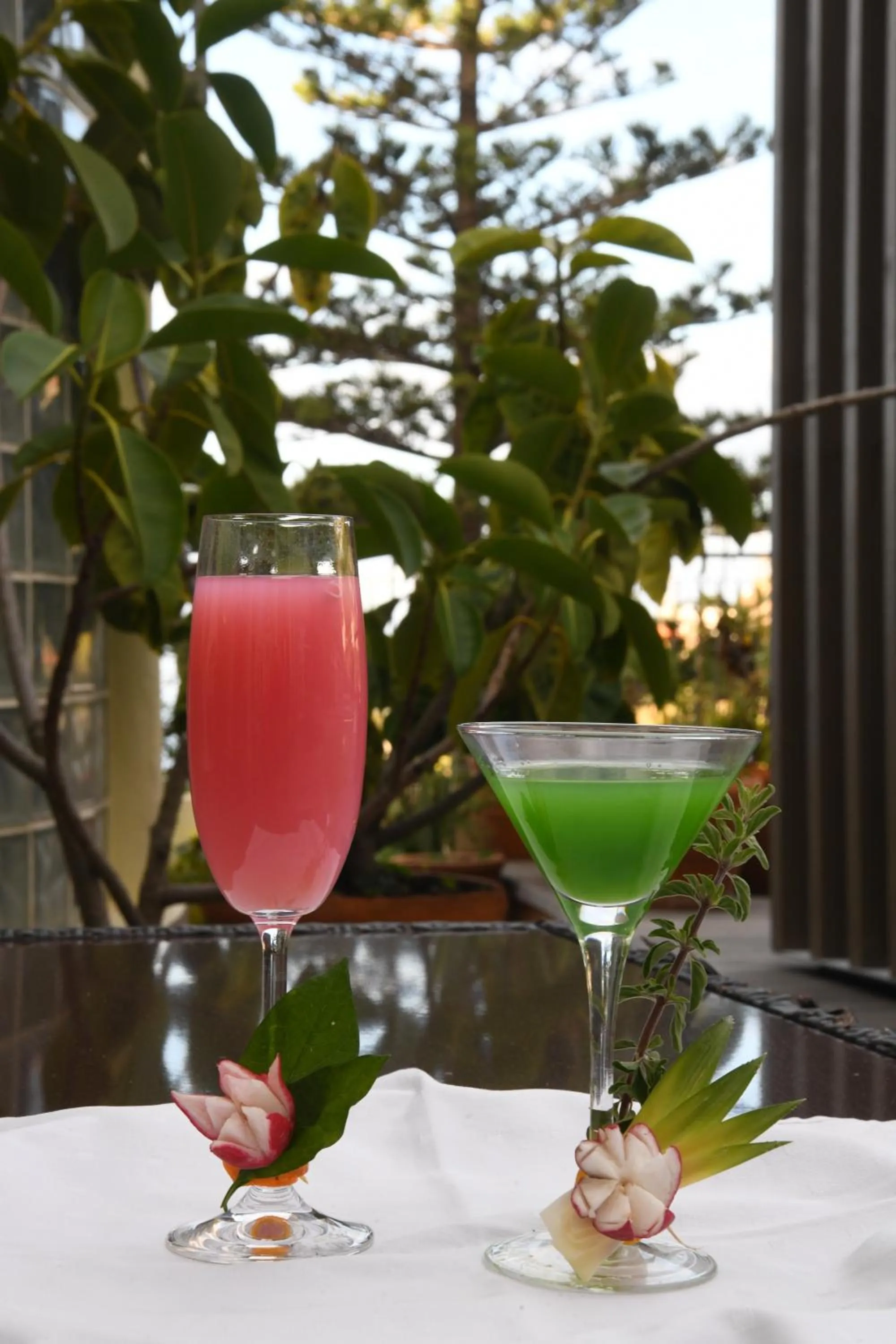 Garden in Hotel Do Campo